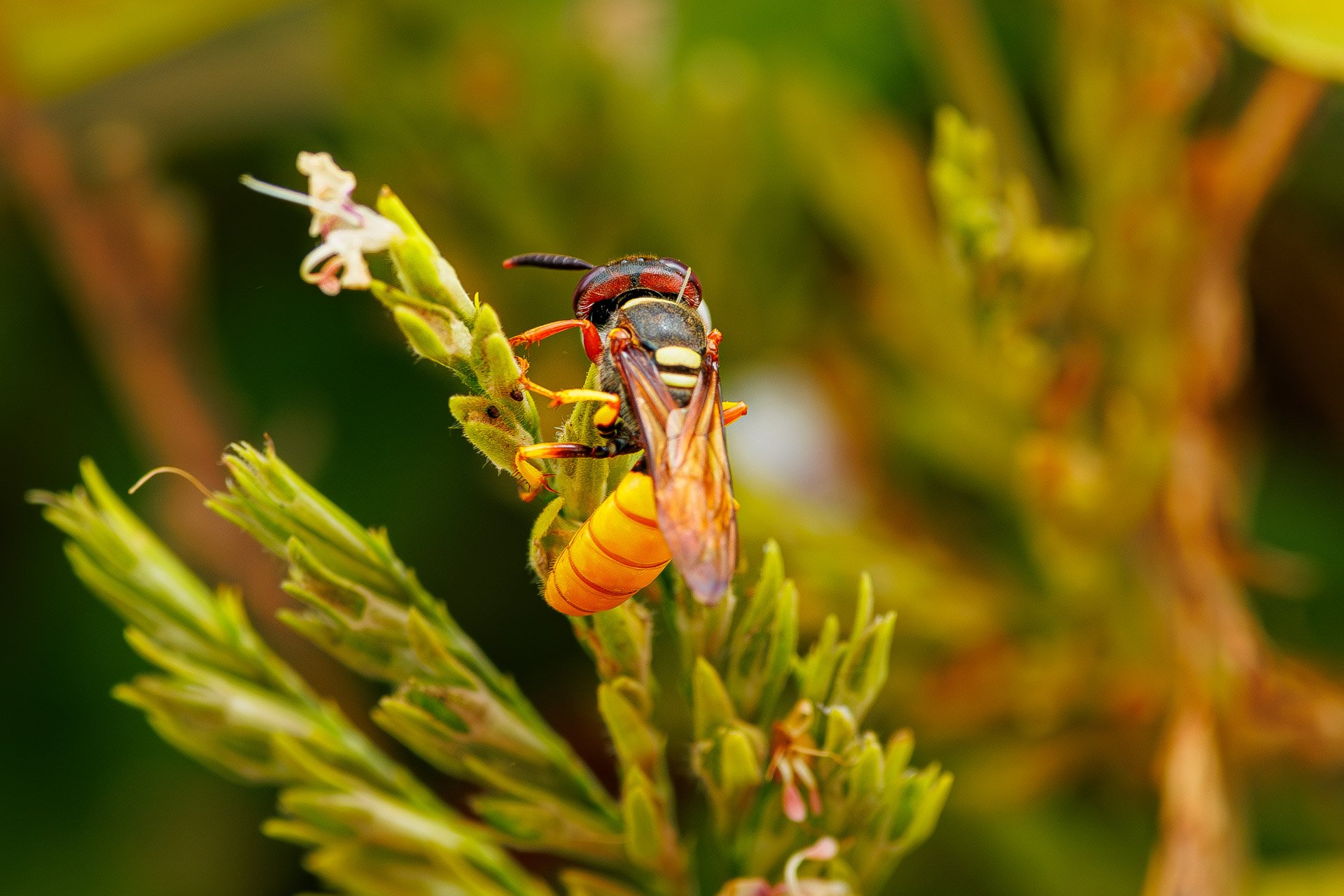 F7.1, 1/1000, ISO500 | Arnold Omondi 
