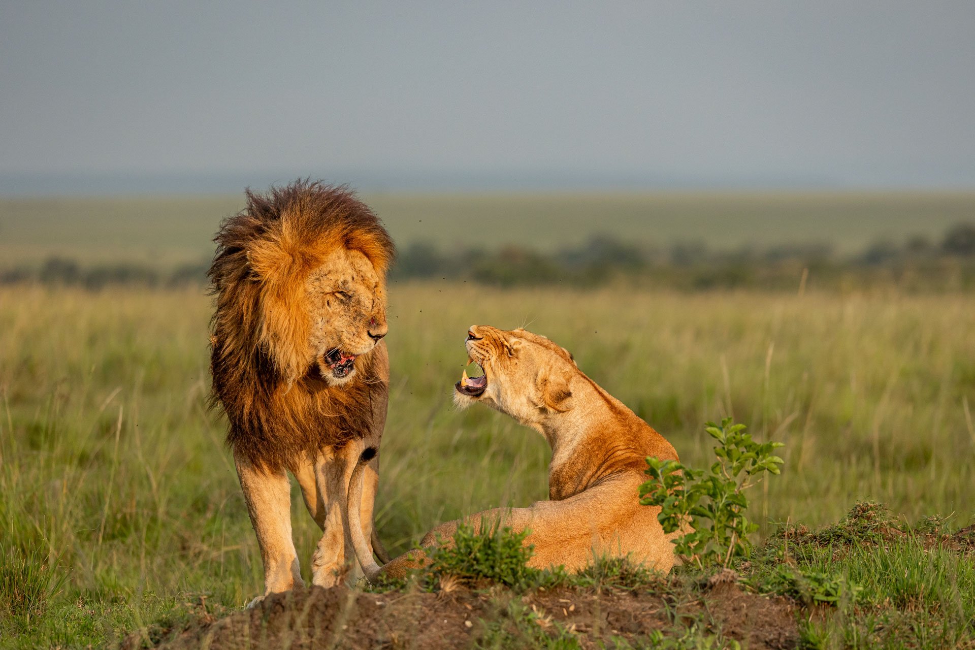 Moments made — not just captured