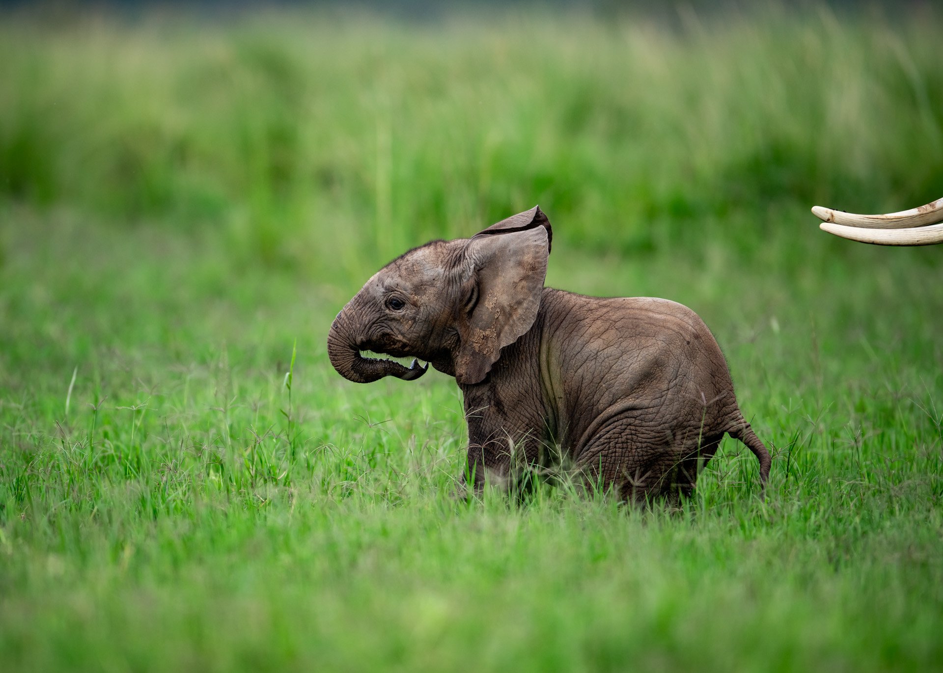 1/500, F 2.8, ISO 320 | Jeremy Macharia