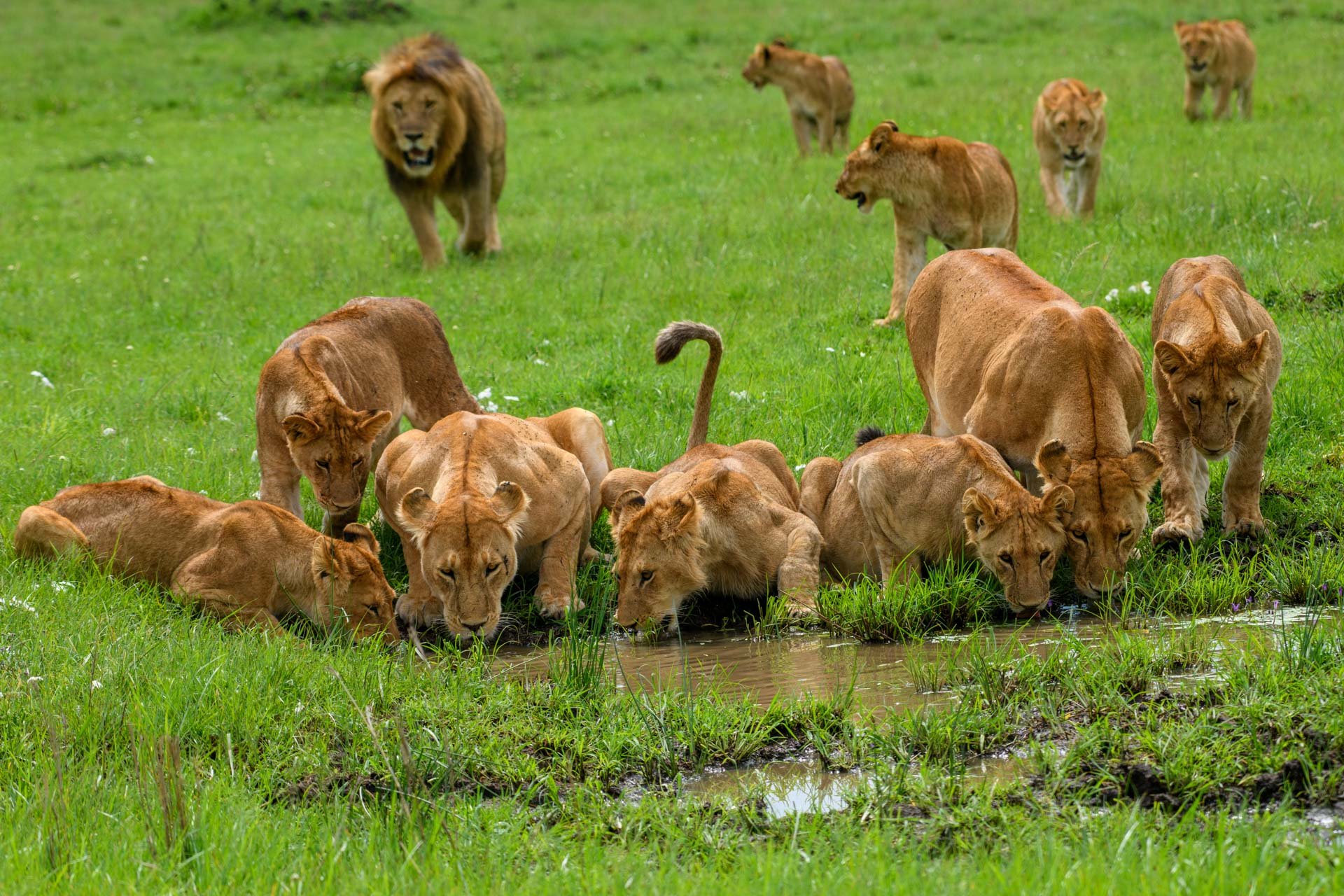 F8, 1/800, ISO 250 | Guide  Jeremy Macharia 
