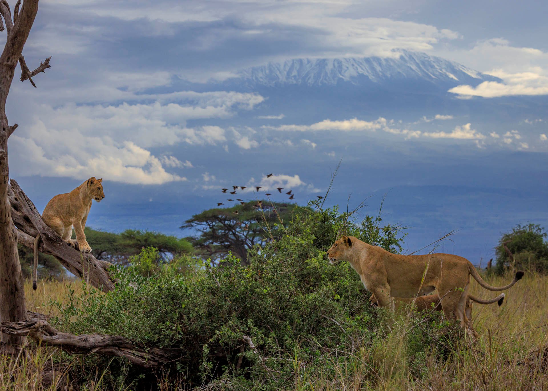 F10.0, 1/1000, ISO1000 | Marvin Mwarangu 