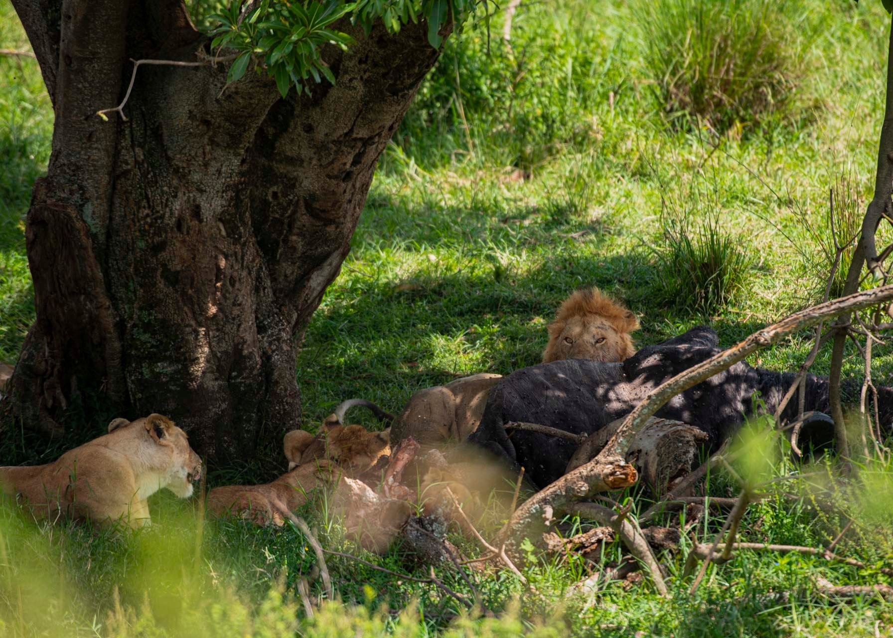 F6.3, 1/2000, ISO640 | Guide Jeremy Macharia 