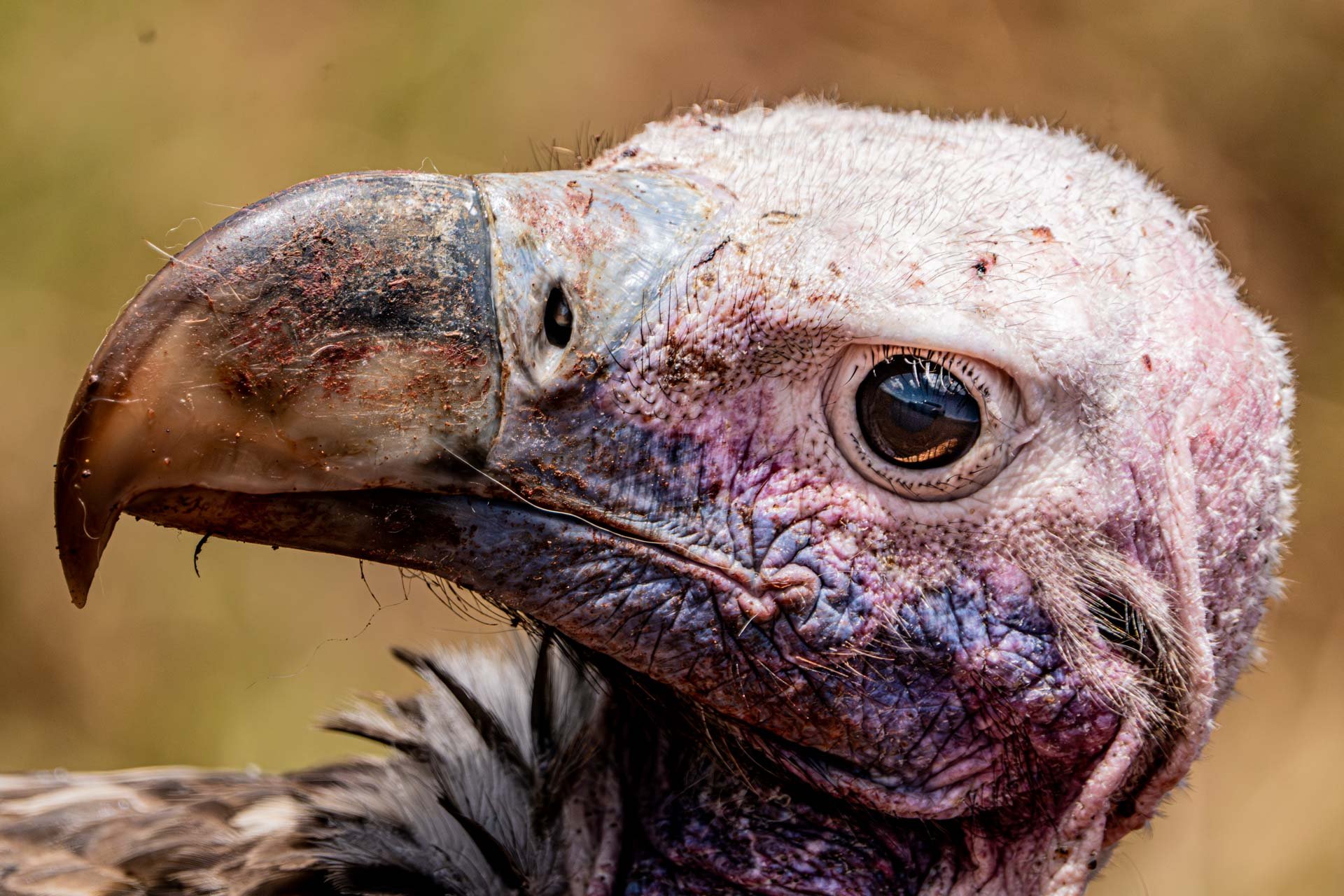 F 5.6, 1/125, ISO 200 | Andrew Andrawes