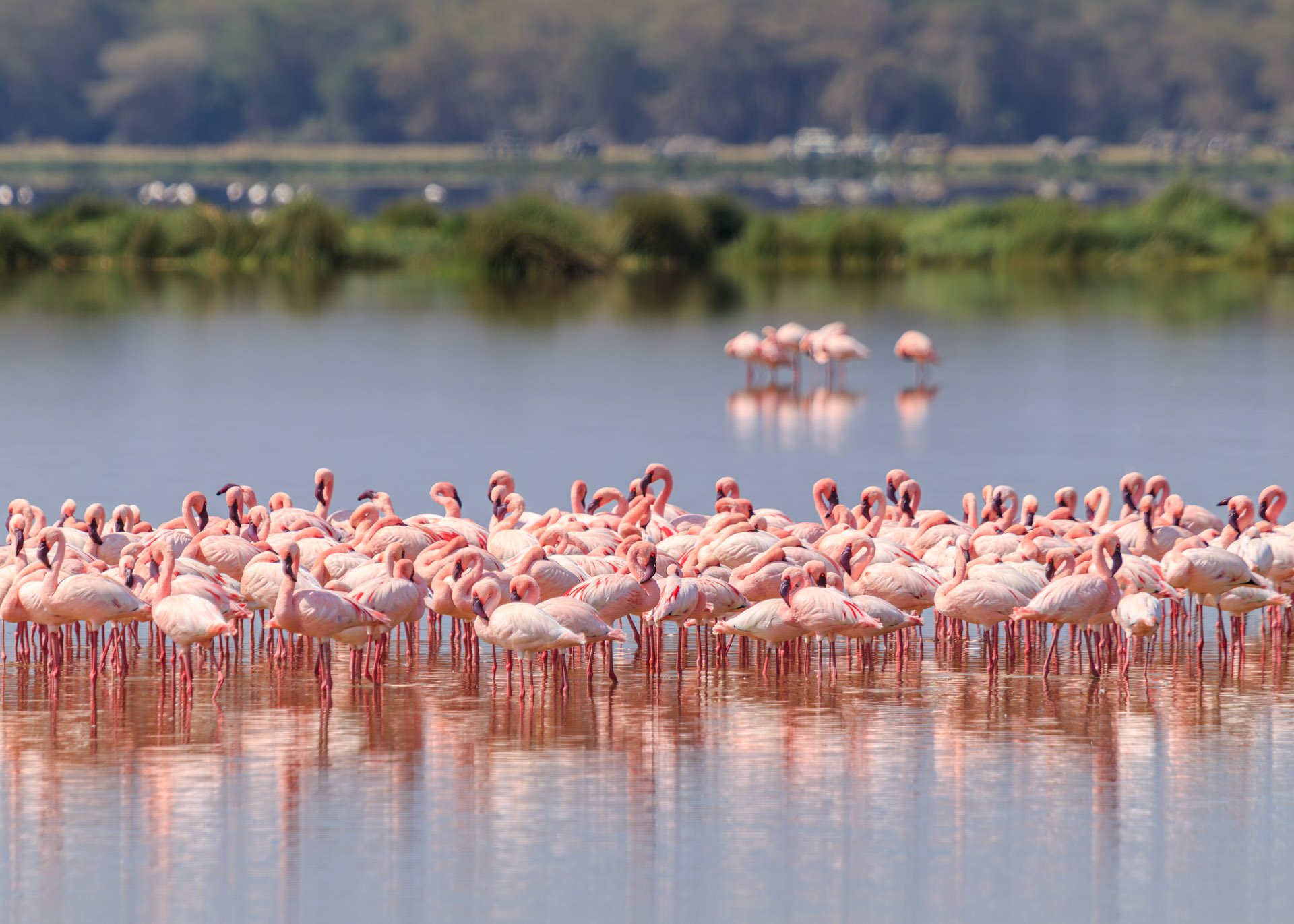 F5.6, 1/1250, ISO160 | Guide Johnson Salash 