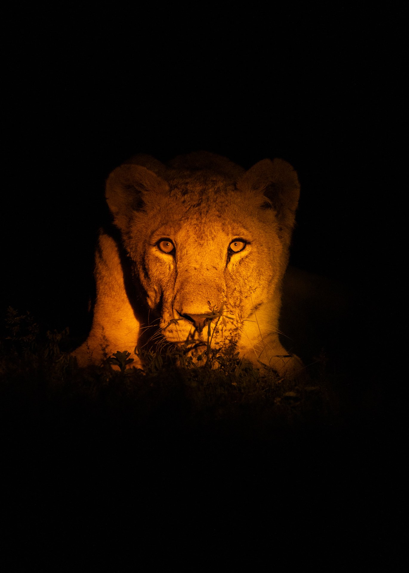 F 5, 1/640, ISO 2000 | Sammy Njoroge
