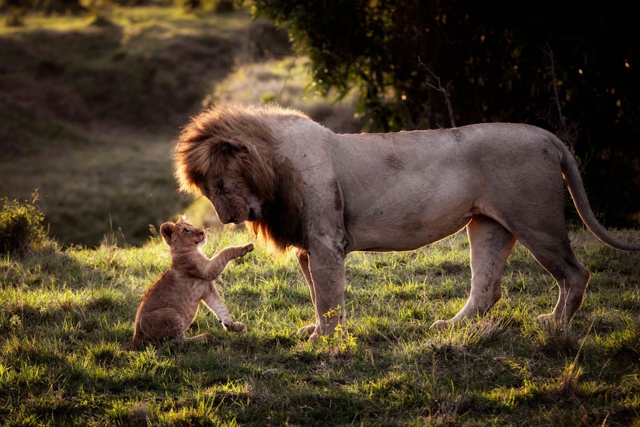 Even the mightiest learn from the young

