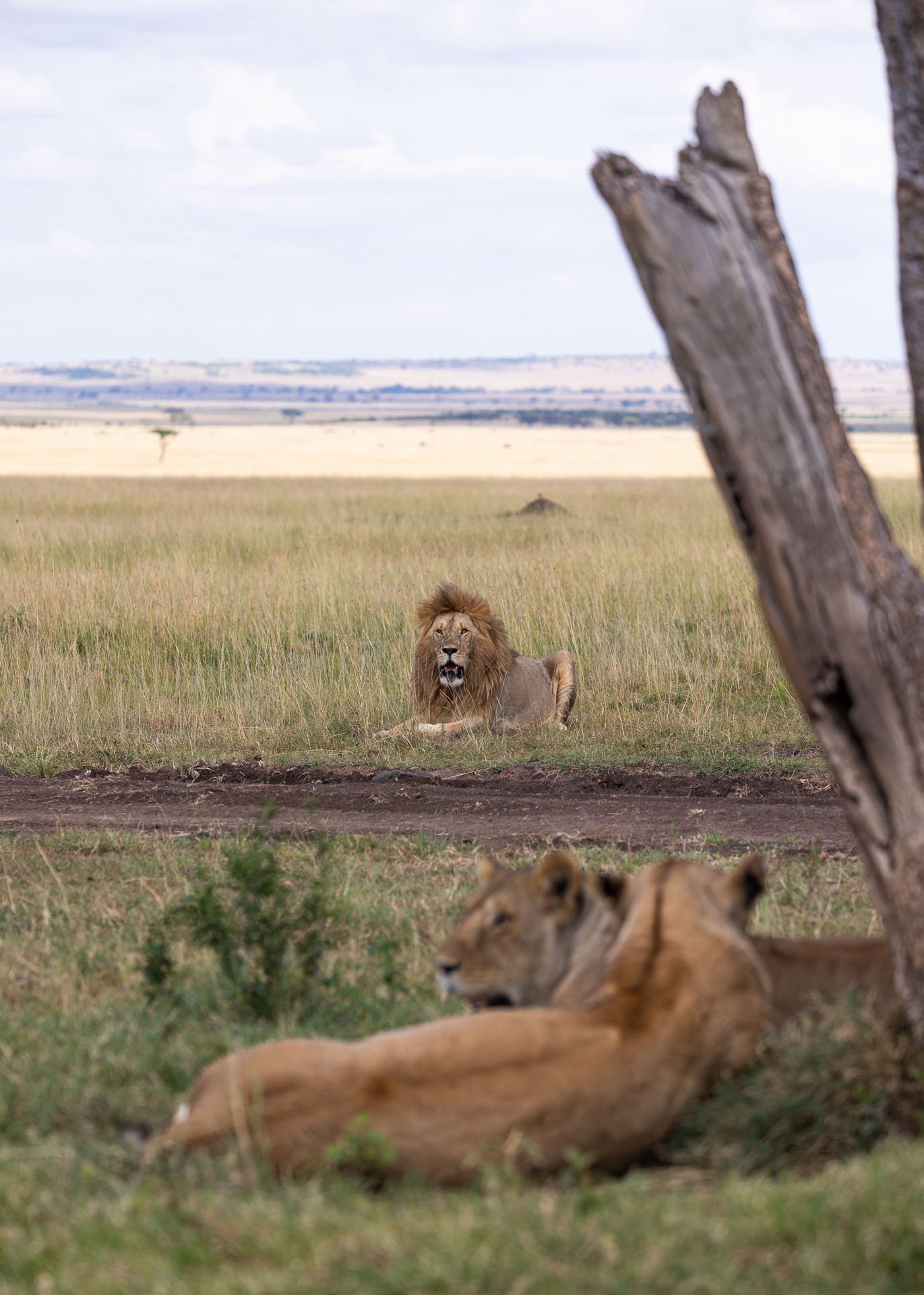 F 6.3, 1/1250, ISO 320 | Joseph Njenga