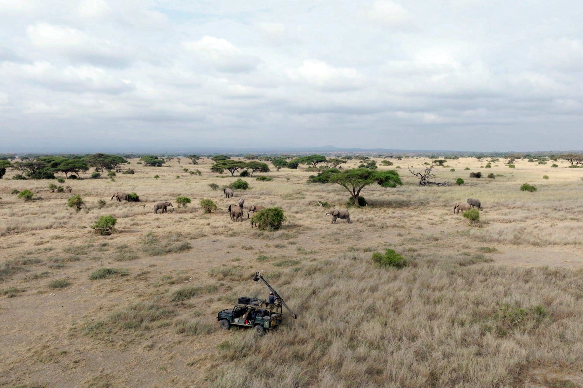 The jib and camera rig were custom-built to capture the best shots without disturbing wildlife