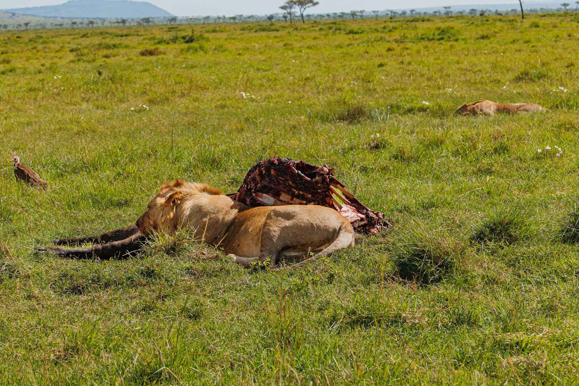 F7.1, 1/250, ISO100 | Arnold Omondi 