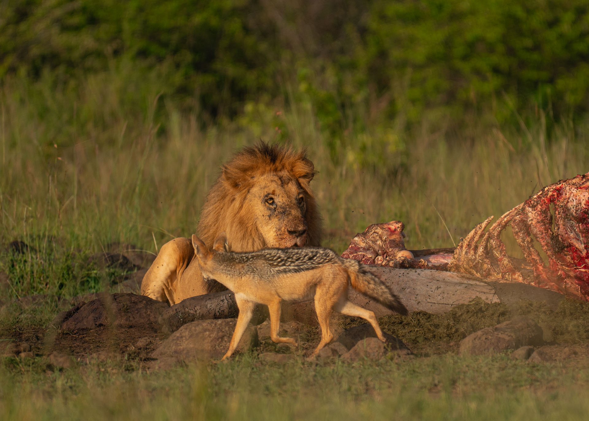 F6.3, 1/1250, ISO250 | Arnold Omondi 