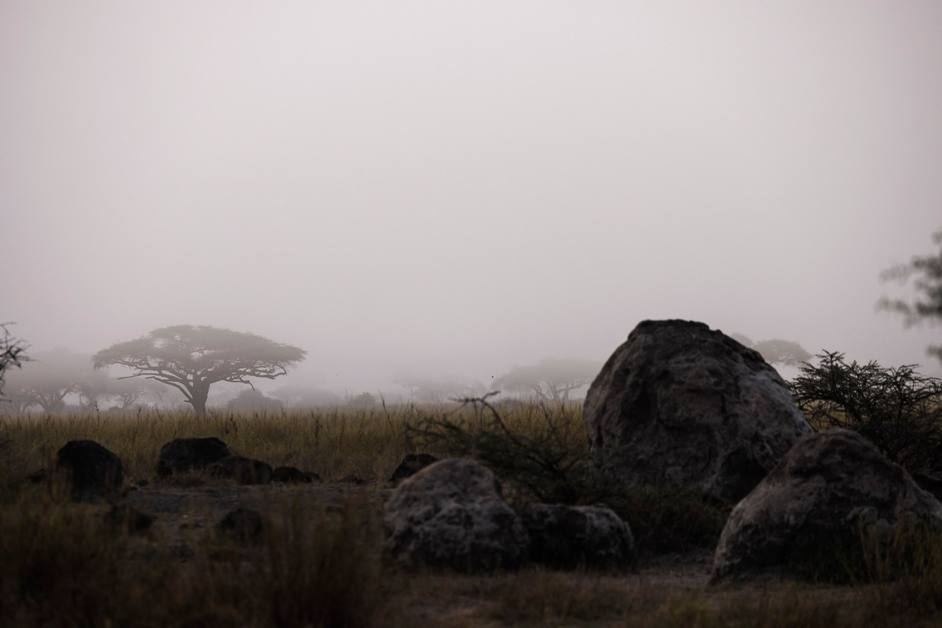 F5.0, 1/400, ISO125 | Jay Supeyo 