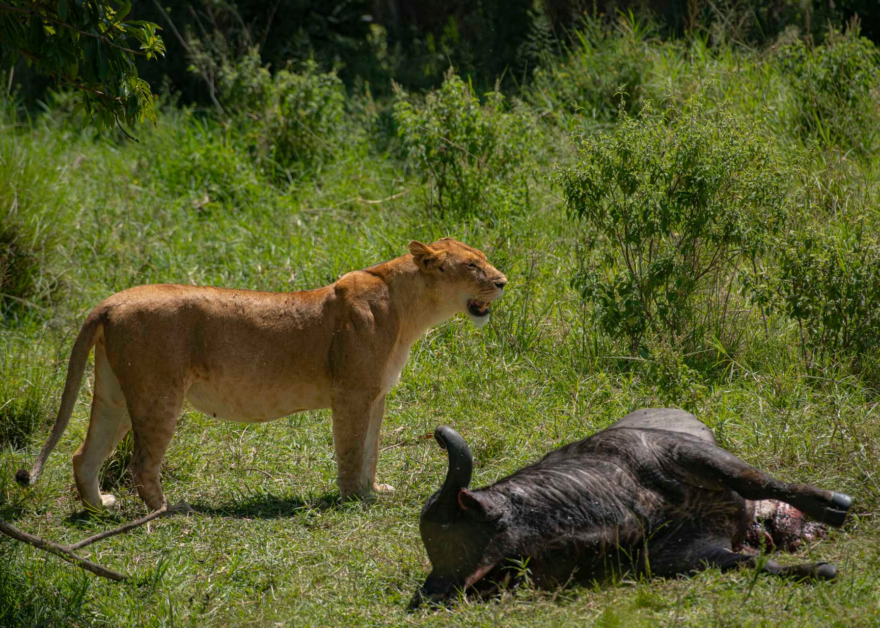 F8.0, 1/320, ISO100 | Guide Jeremy Macharia 
