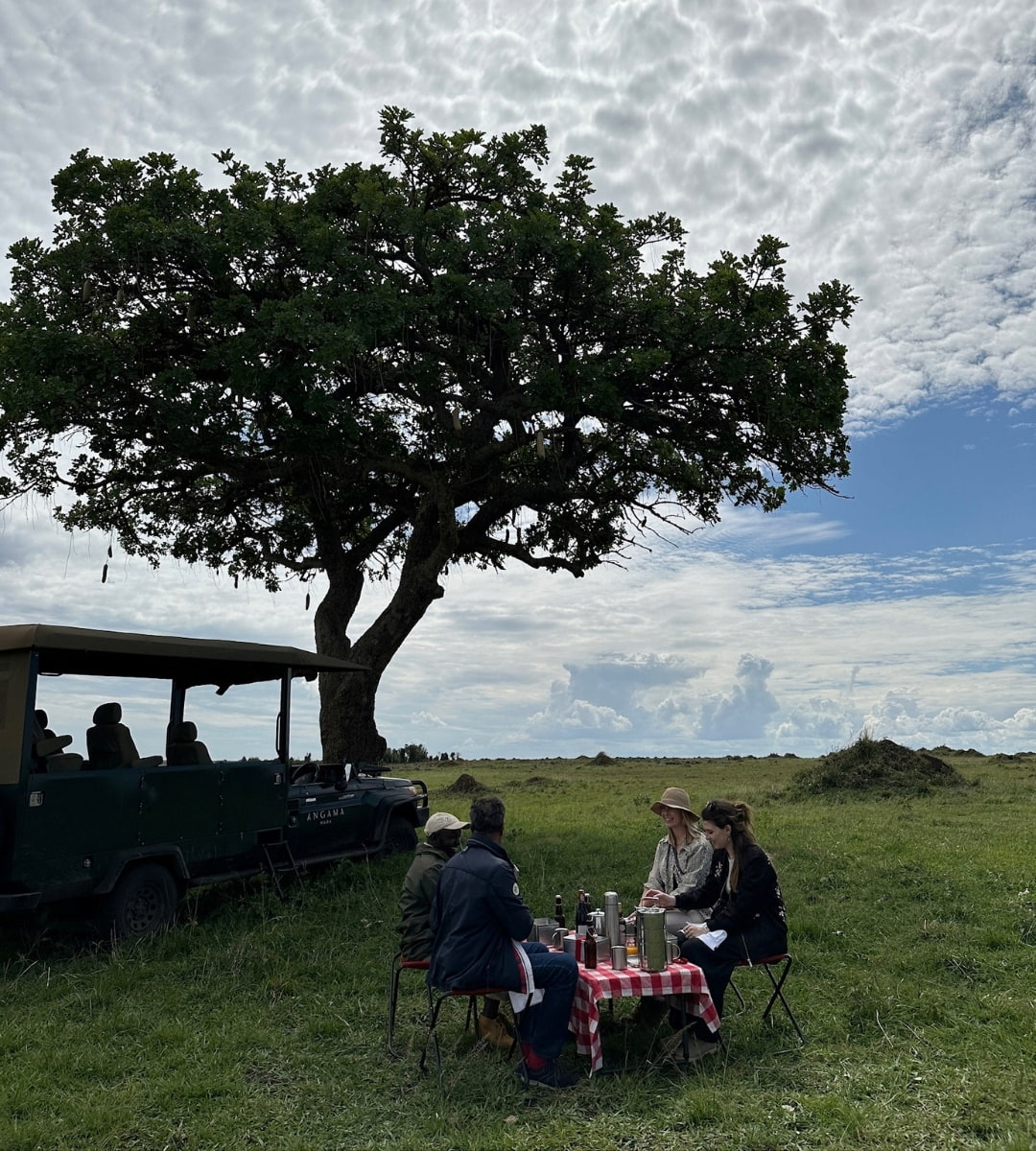 An hour after cheetahs lounged here, Guide Derrick turned it into a picnic spot