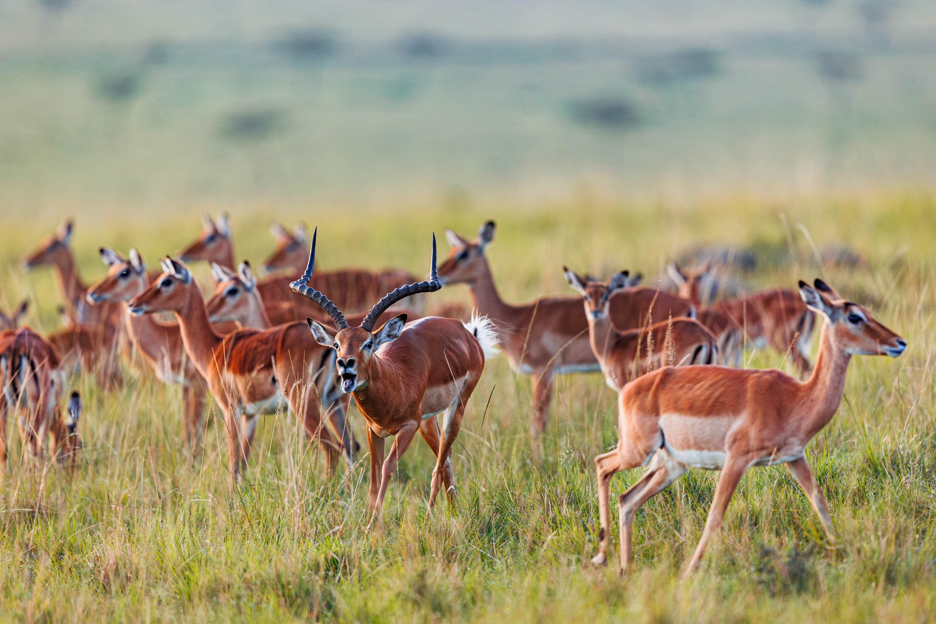 F2.8, 1/250, IS0400 | Arnold Omondi 