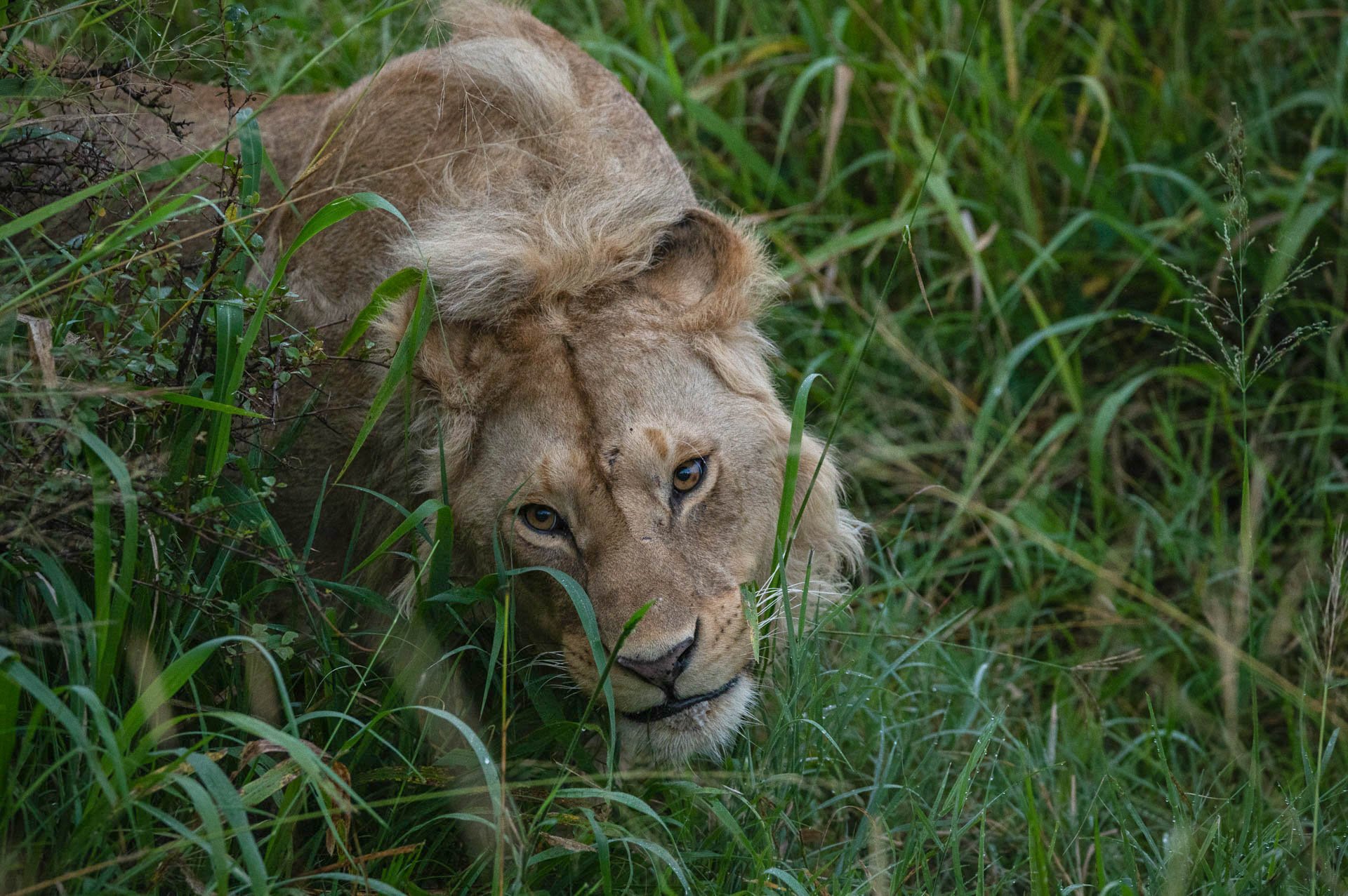 Up close and personal with the wildlife 