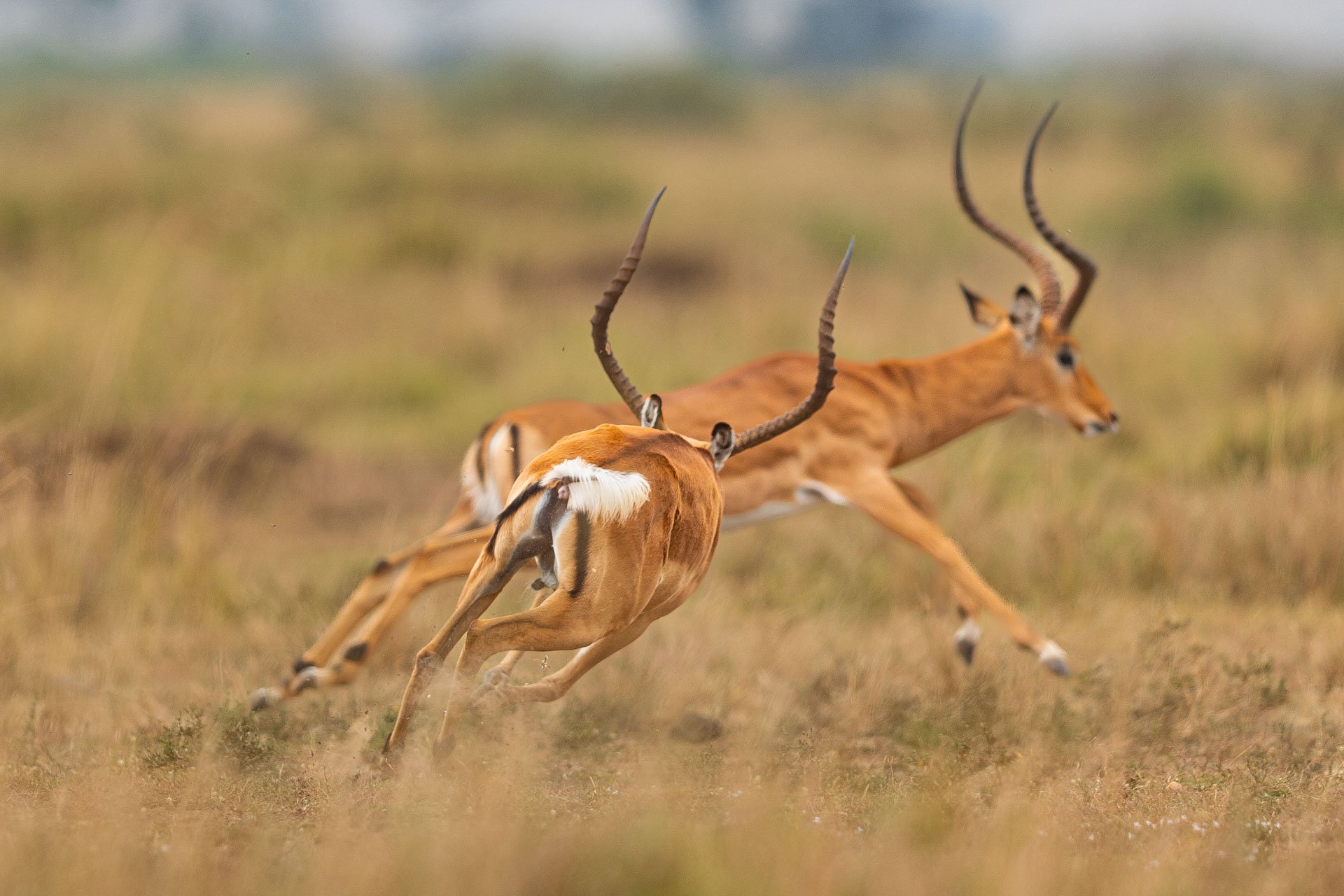 F2.8, 1/1600, ISO 125 | Arnold Omondi