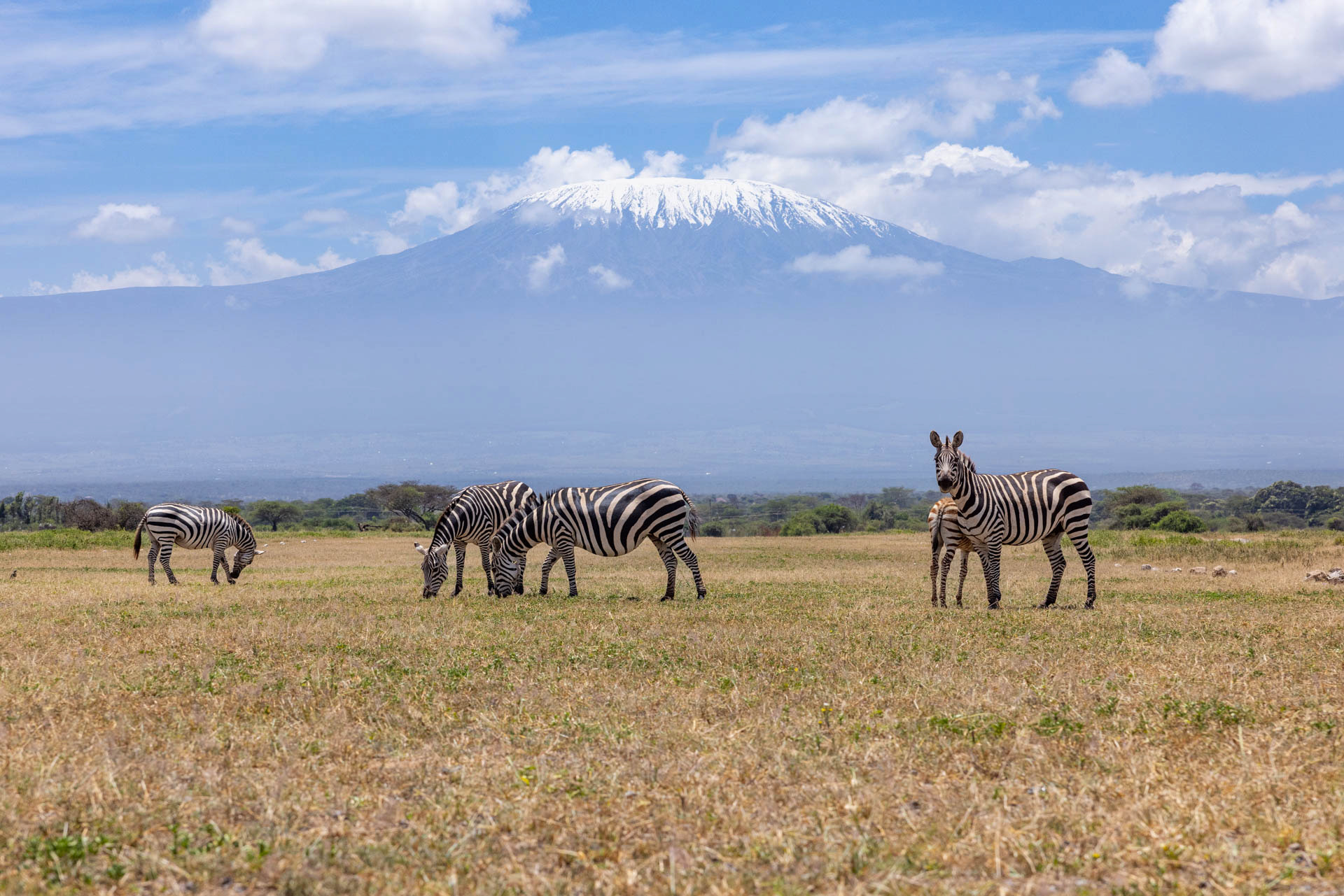 F8, 1/2000, ISO 500 | Sammy Njoroge