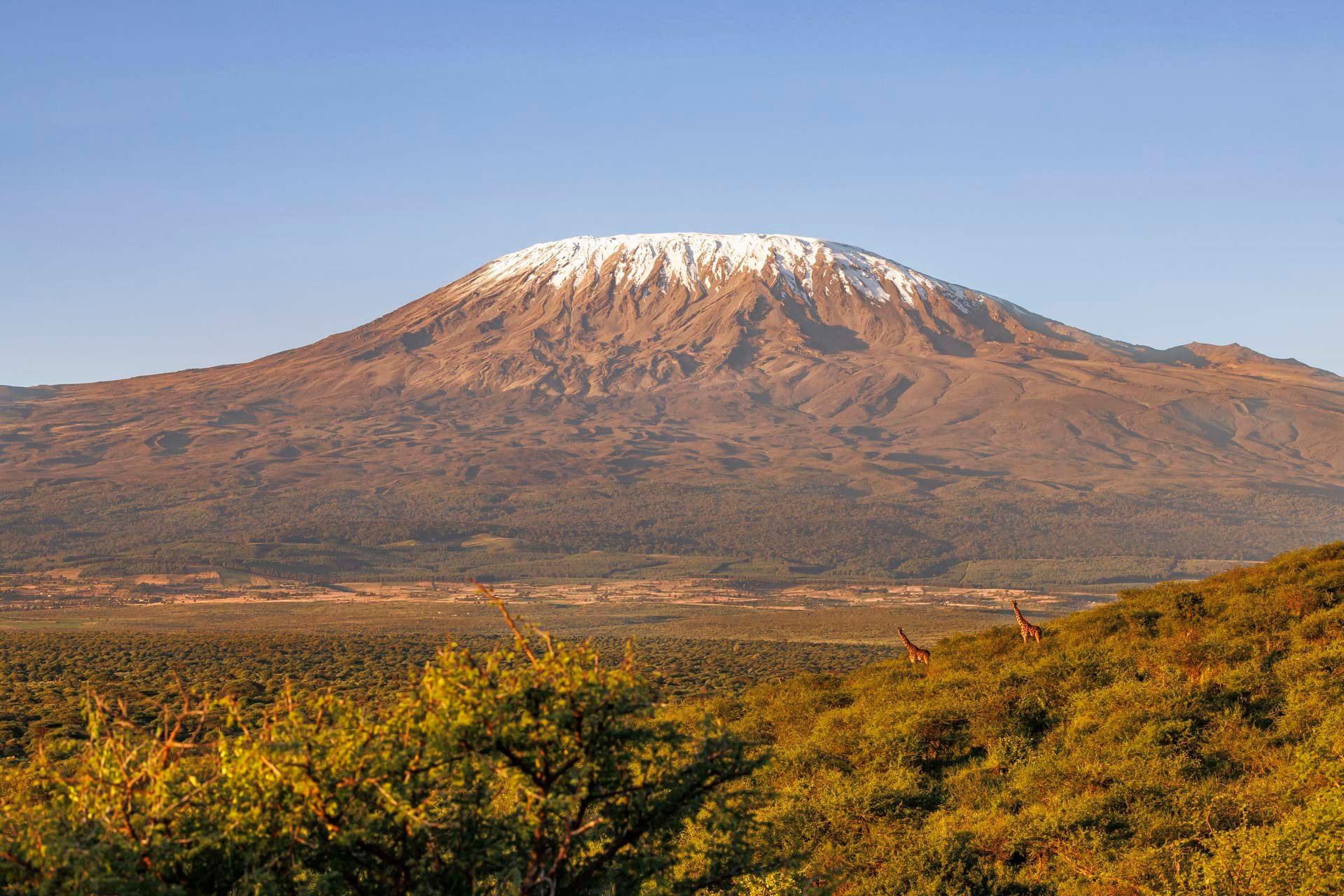 Above: The 'Shy Mountain' in all her glory