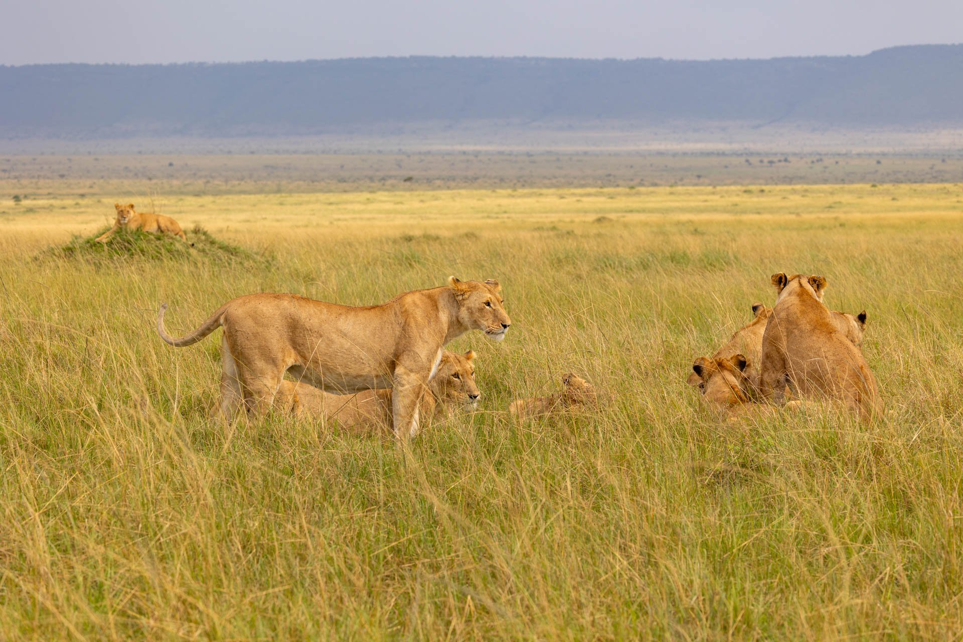  F 7.1, 1/640, ISO 400 | Sammy Njoroge 