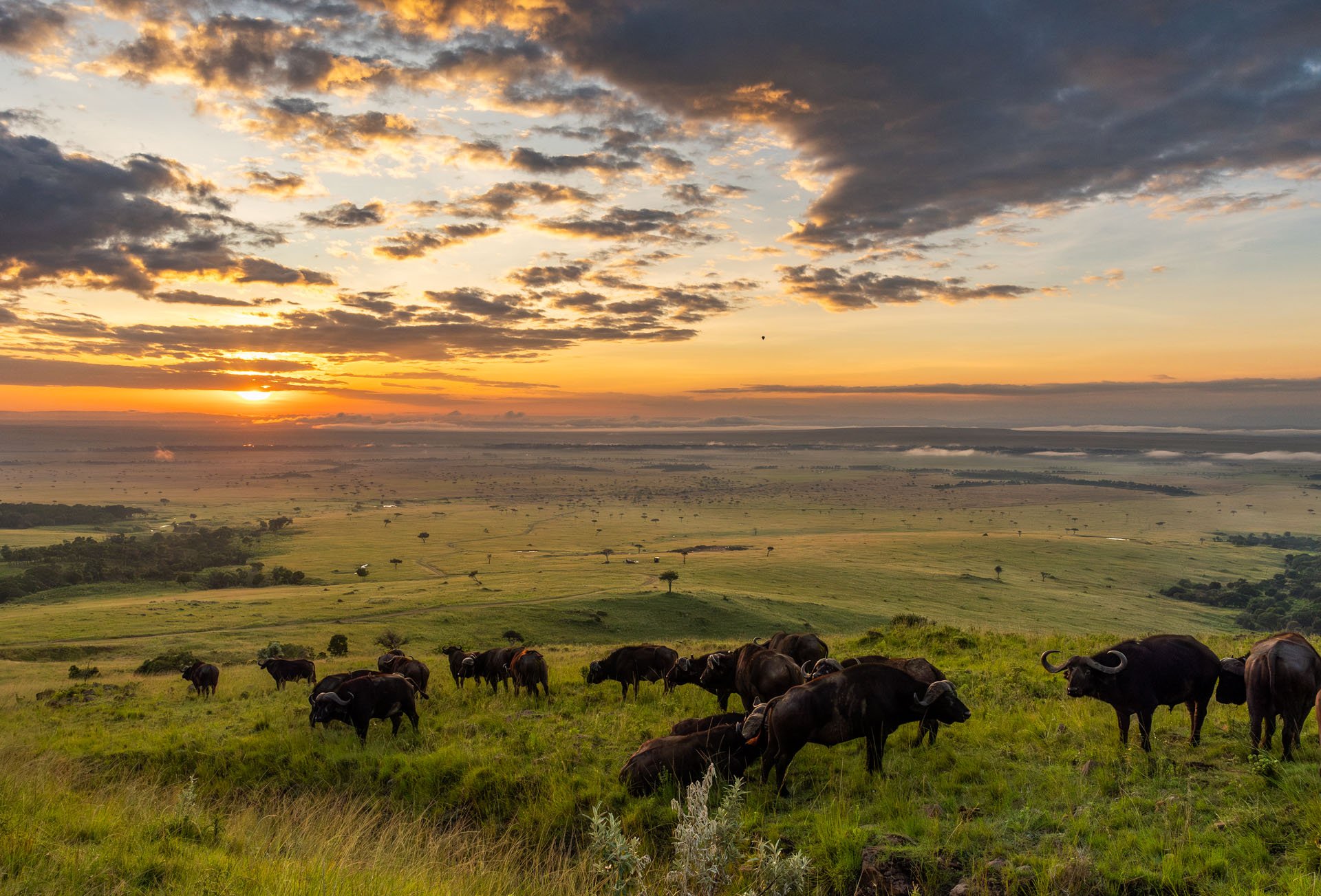 Above: The descent down the Oloololo Escarpment: where buffalo greet you and the sky does all the talking