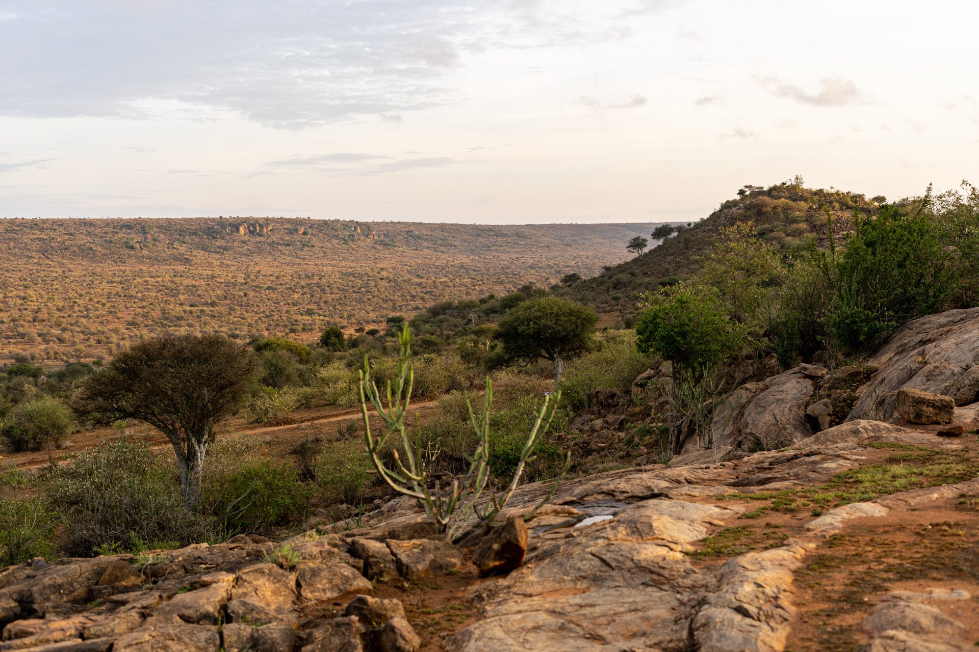 The rocky hills of Laikipia, the setting for this story