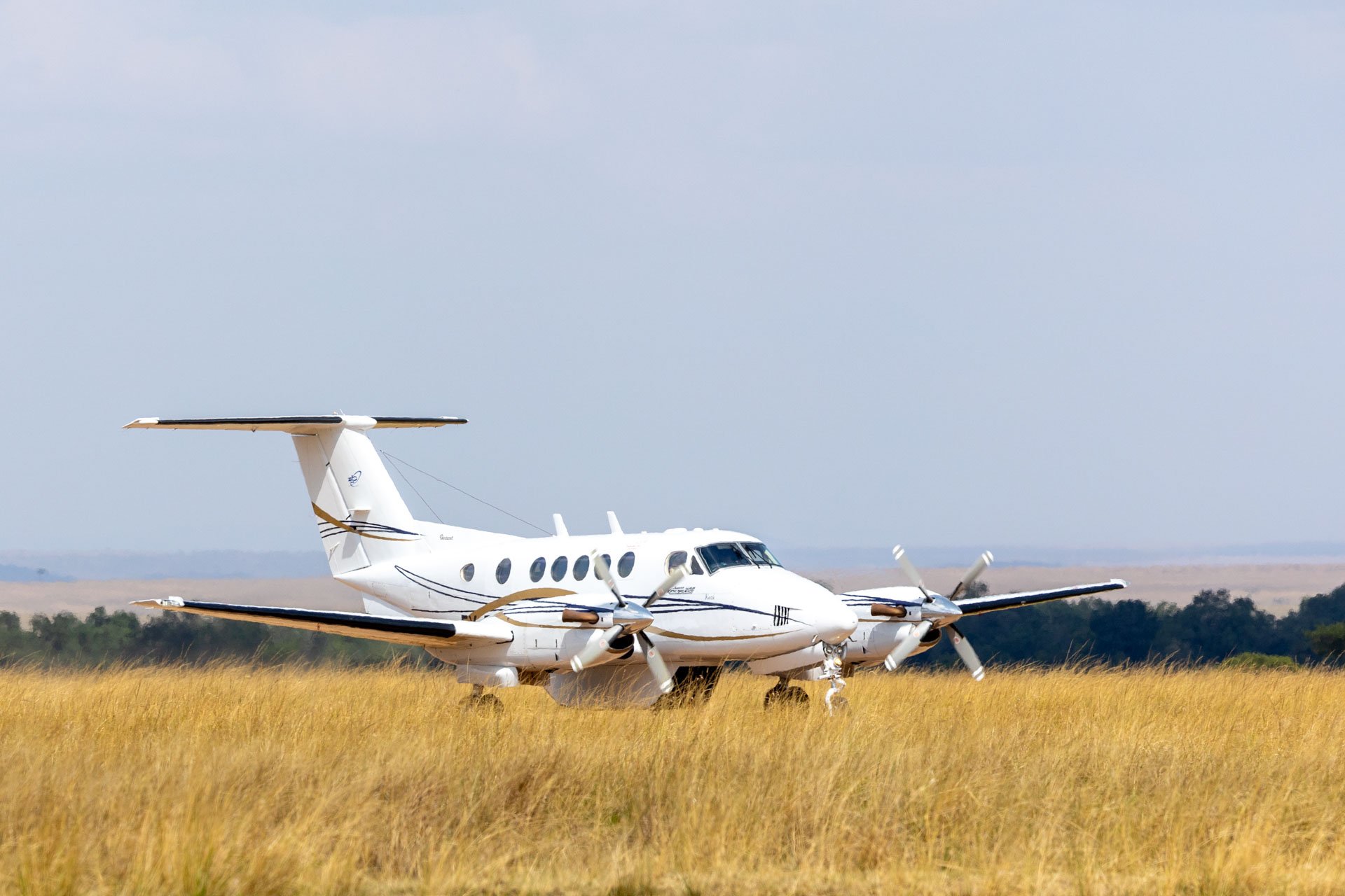 Incoming: The start of a Maasai Mara adventure