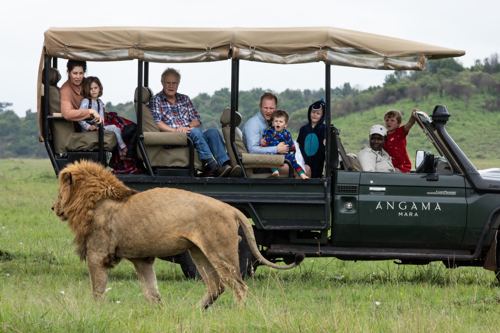 Up close with Africa's biggest cat at the mere age of three — what a thrill