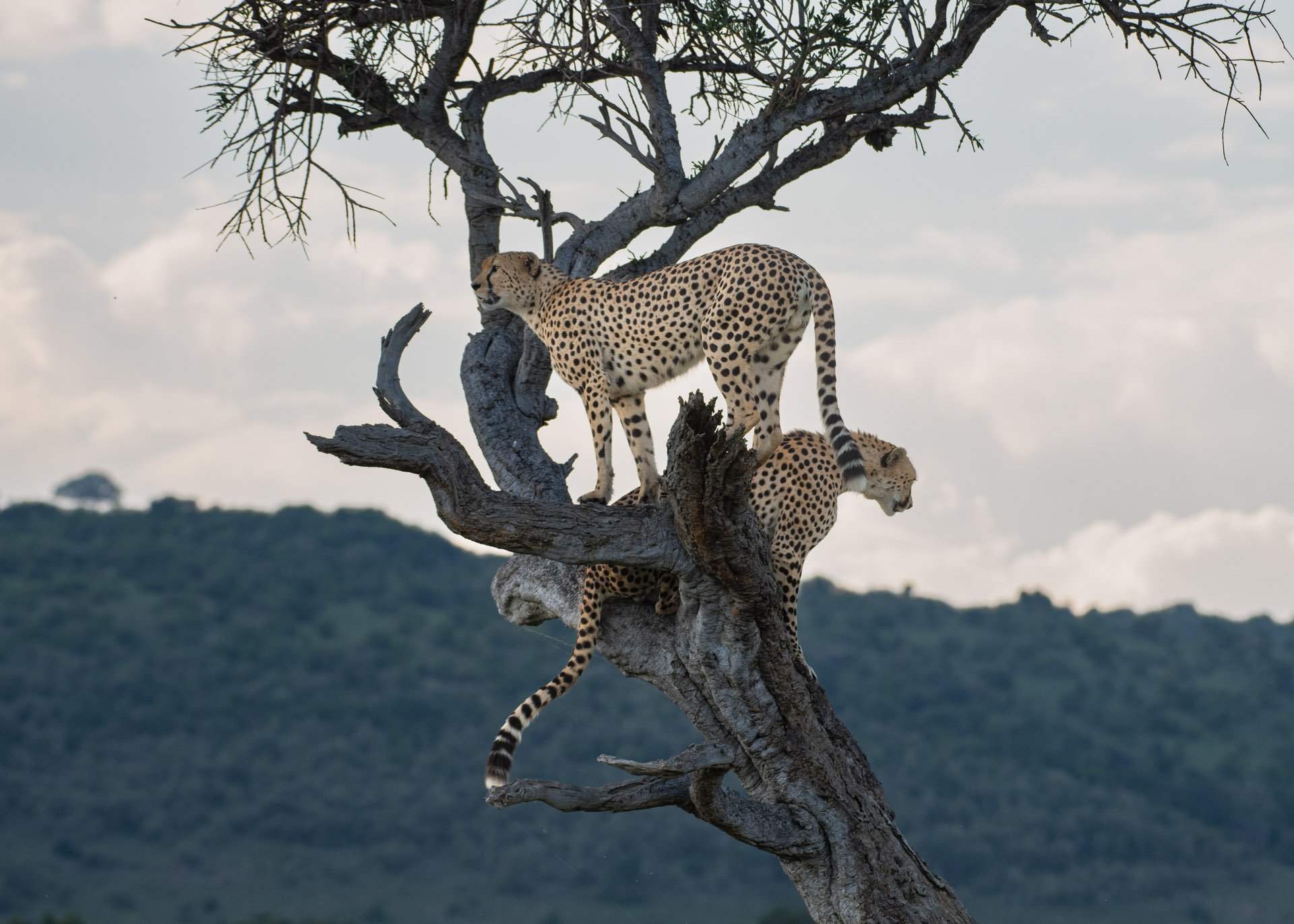 F5.6, 1/640, ISO400 | Guide Jeremy Macharia 
