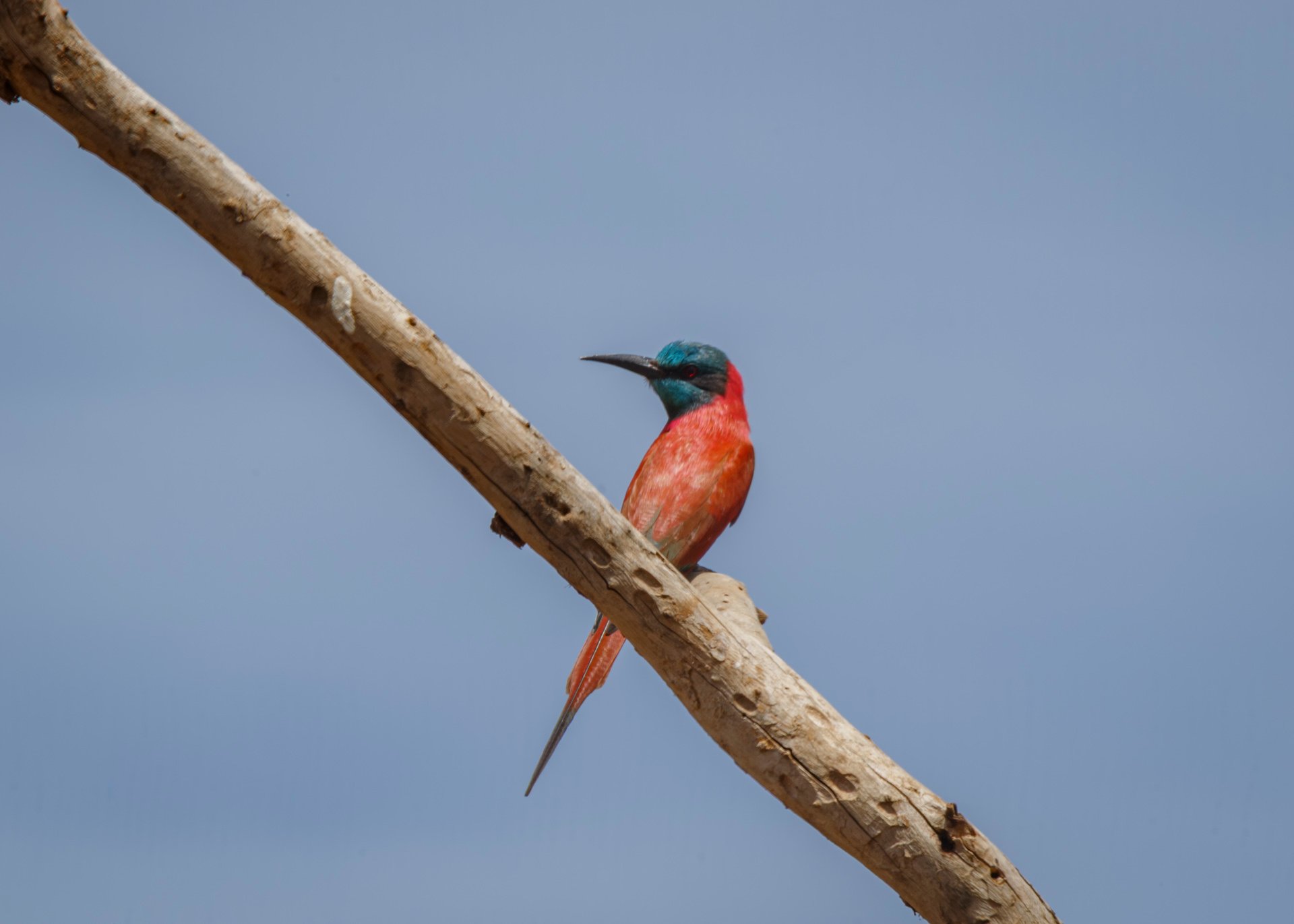 F22, 1/60, ISO100 | Guide Johnson Salash 