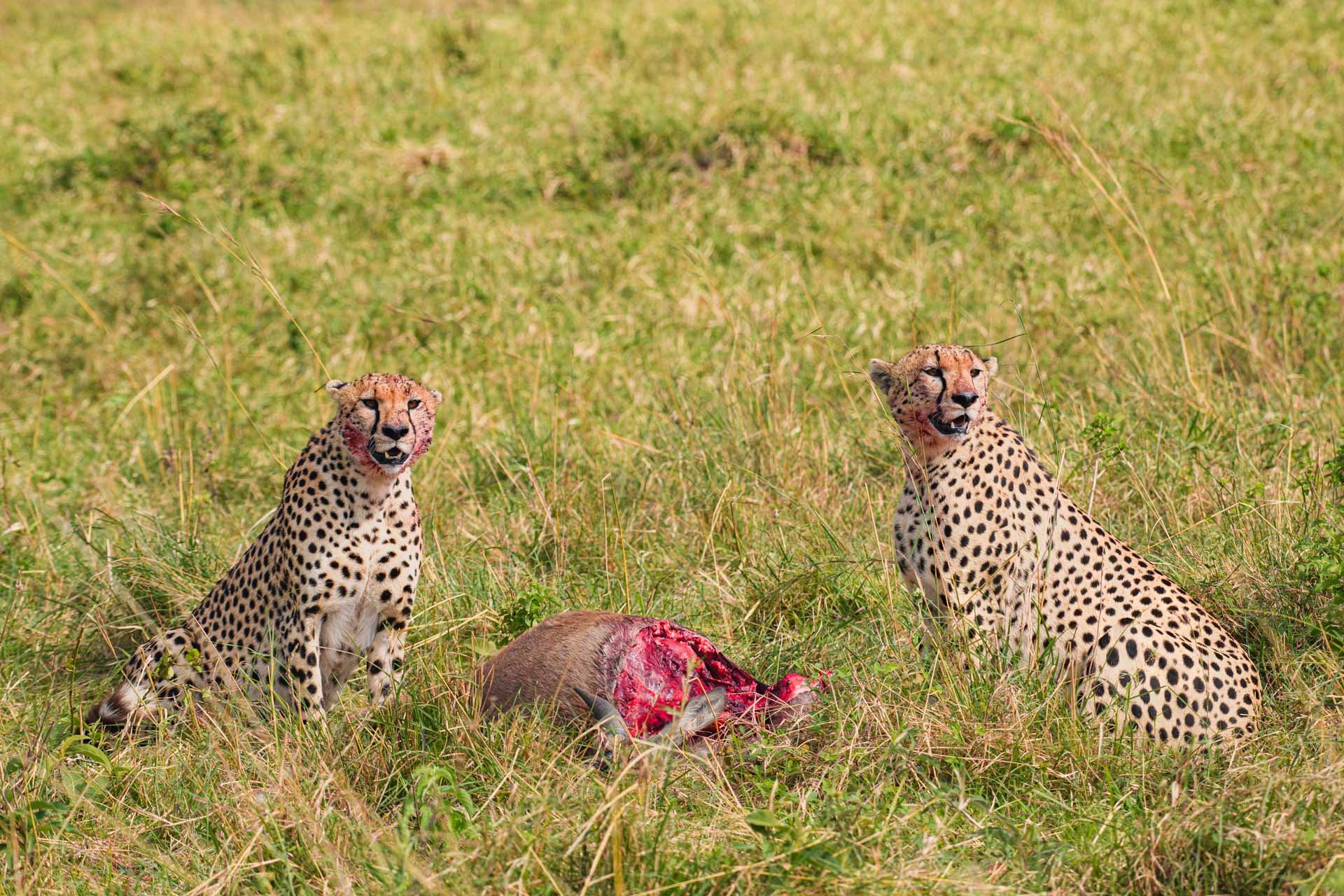 F8.0, 1/500, ISO160 | Jeremy Macharia