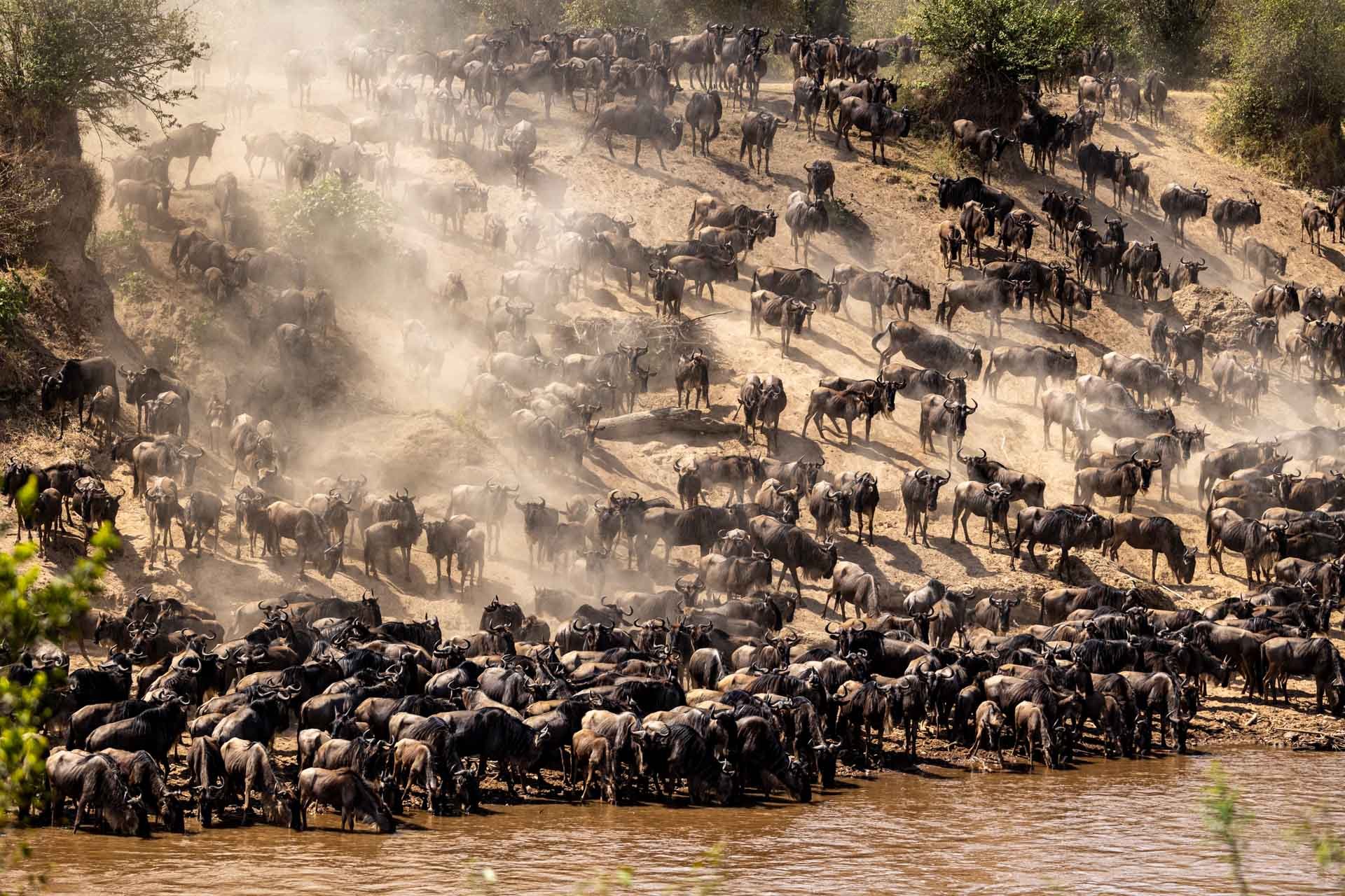 The dust and the noise makes this more than just a visual spectacle