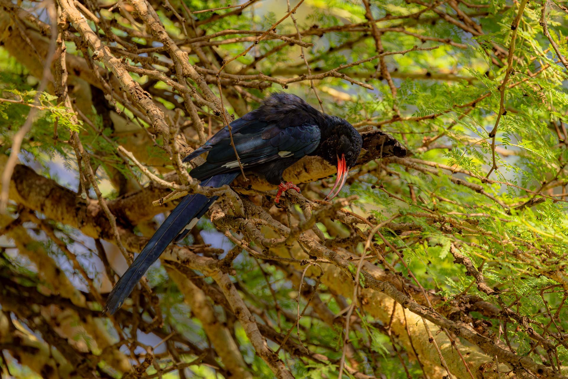 F 7.1, 1/800, ISO 500 |  Arnold Omondi 