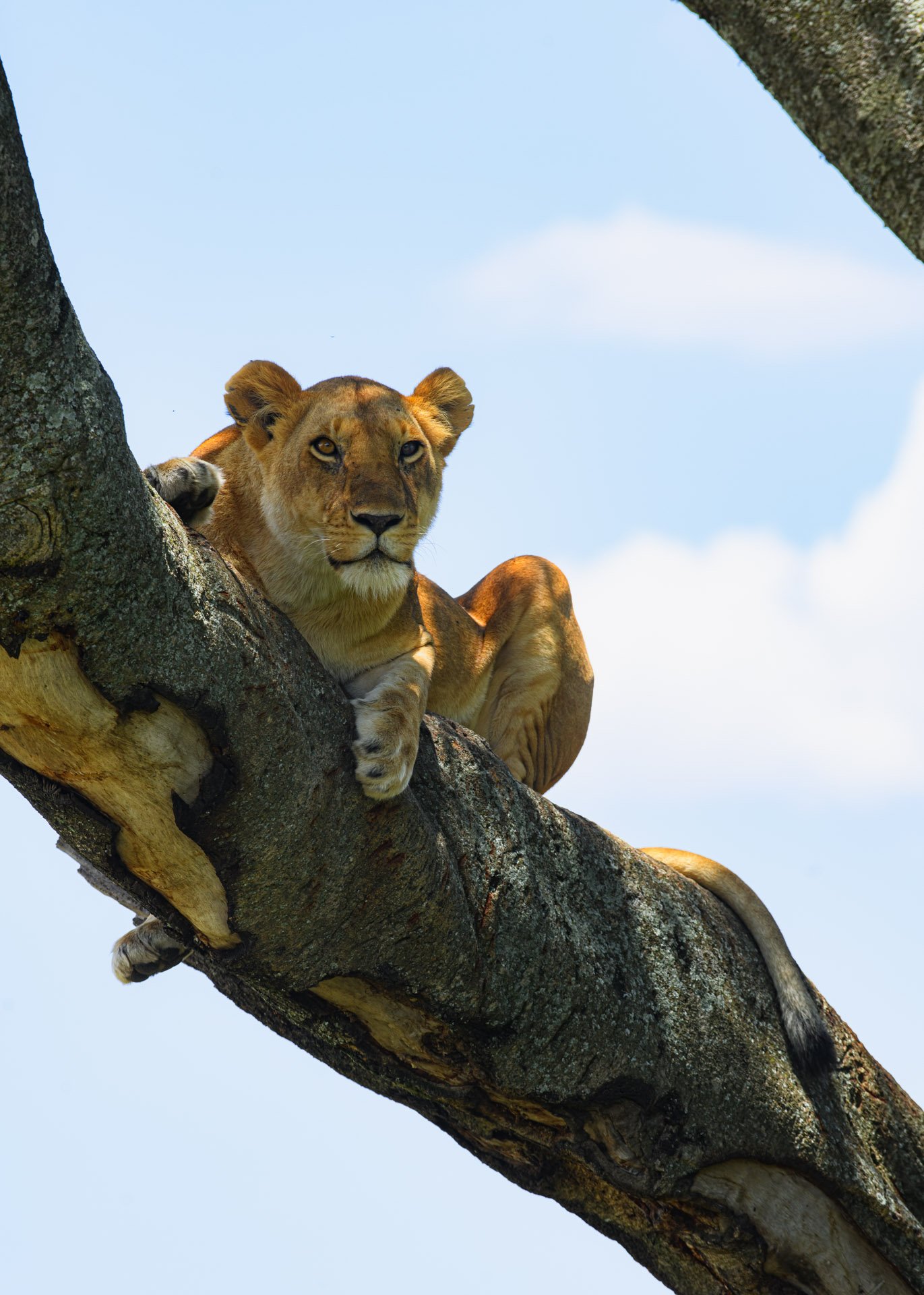 F8.0, 1/200, ISO160 | Guide Jeremy Macharia