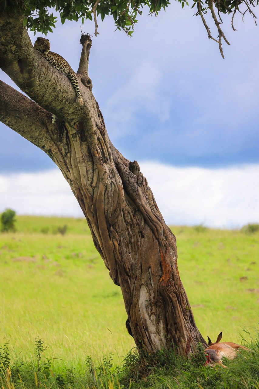 F5.6, 1/640, ISO250 | Japheth Supeyo 
