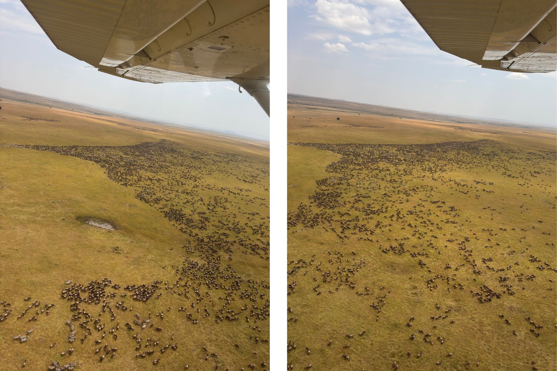 Photographed by Ekai en route to the Maasai Mara during the Great Migration