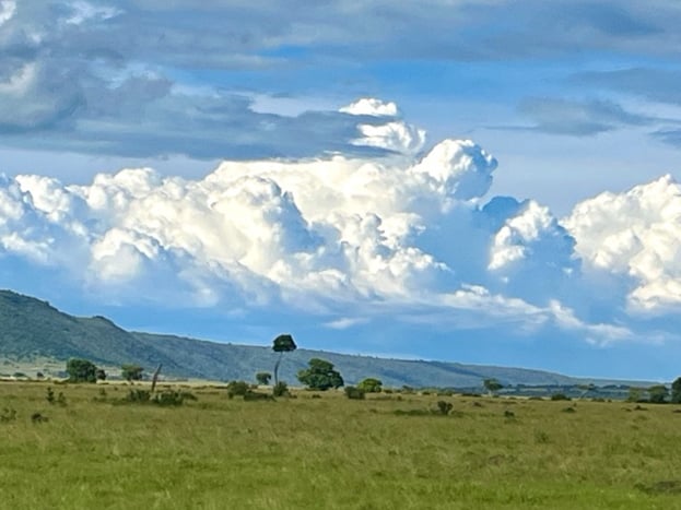 Any lull in wildlife viewing was made up by the dramatic skies 