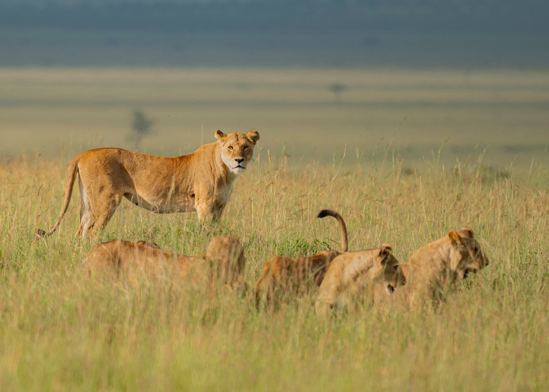 F6.3, 1/800, ISO200 | Arnold Omondi 