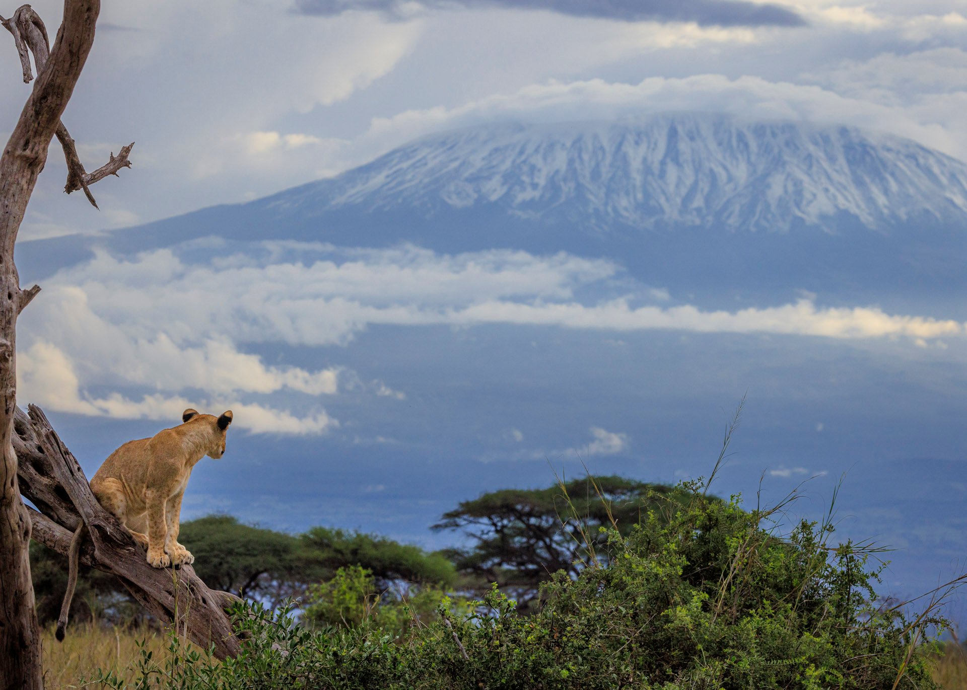 F10.0, 1/1000, ISO1000 | Marvin Mwarangu 