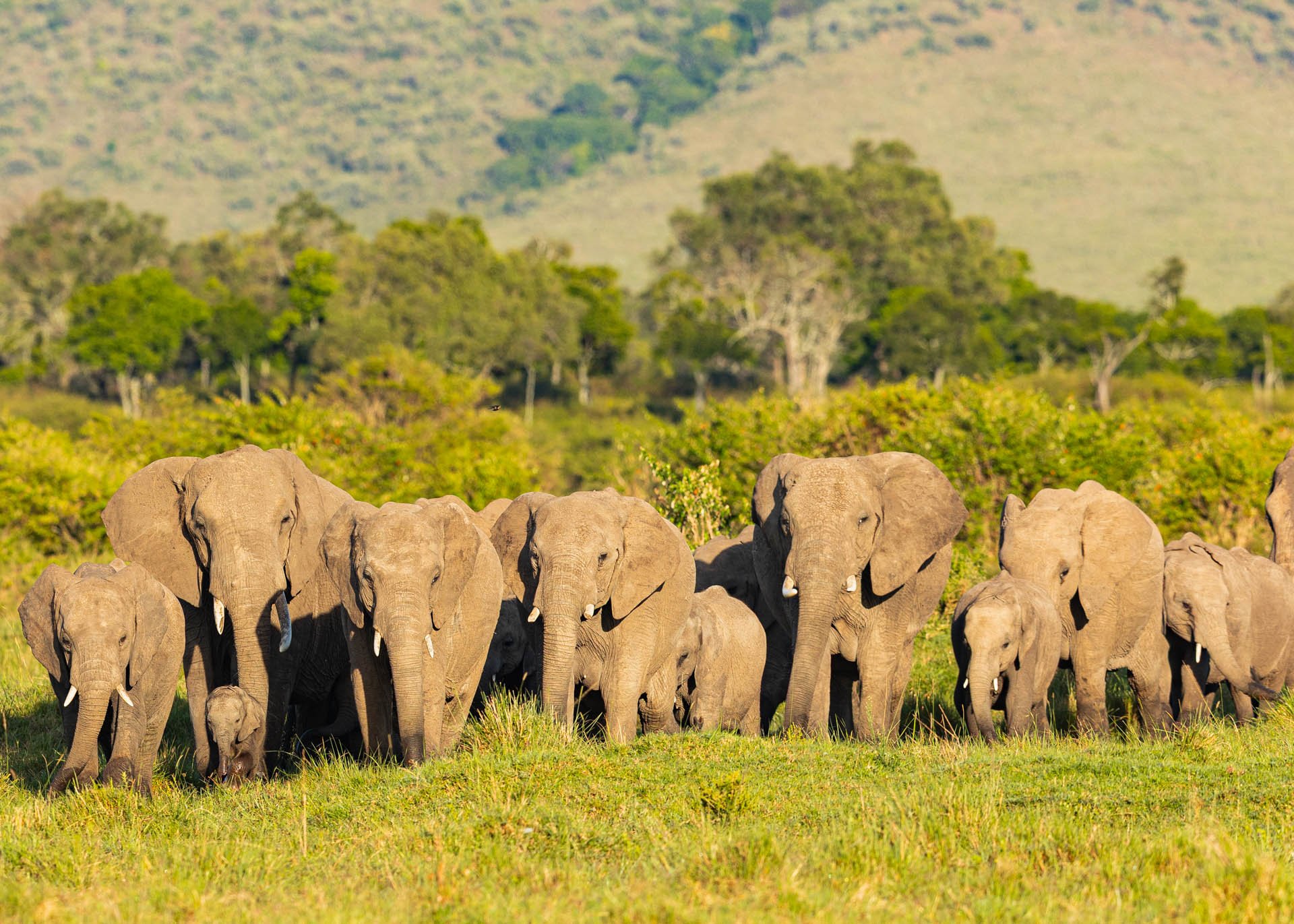 F5.6, 1/1000, ISO500 | Arnold Omondi 