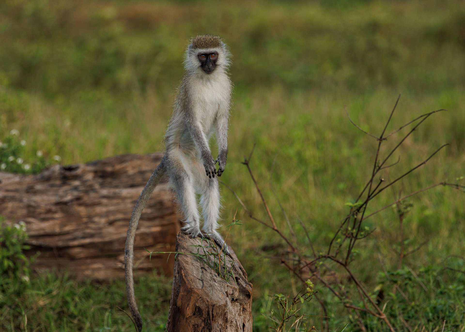 F8.0, 1/1000, ISO400 | Marvin Mwarangu