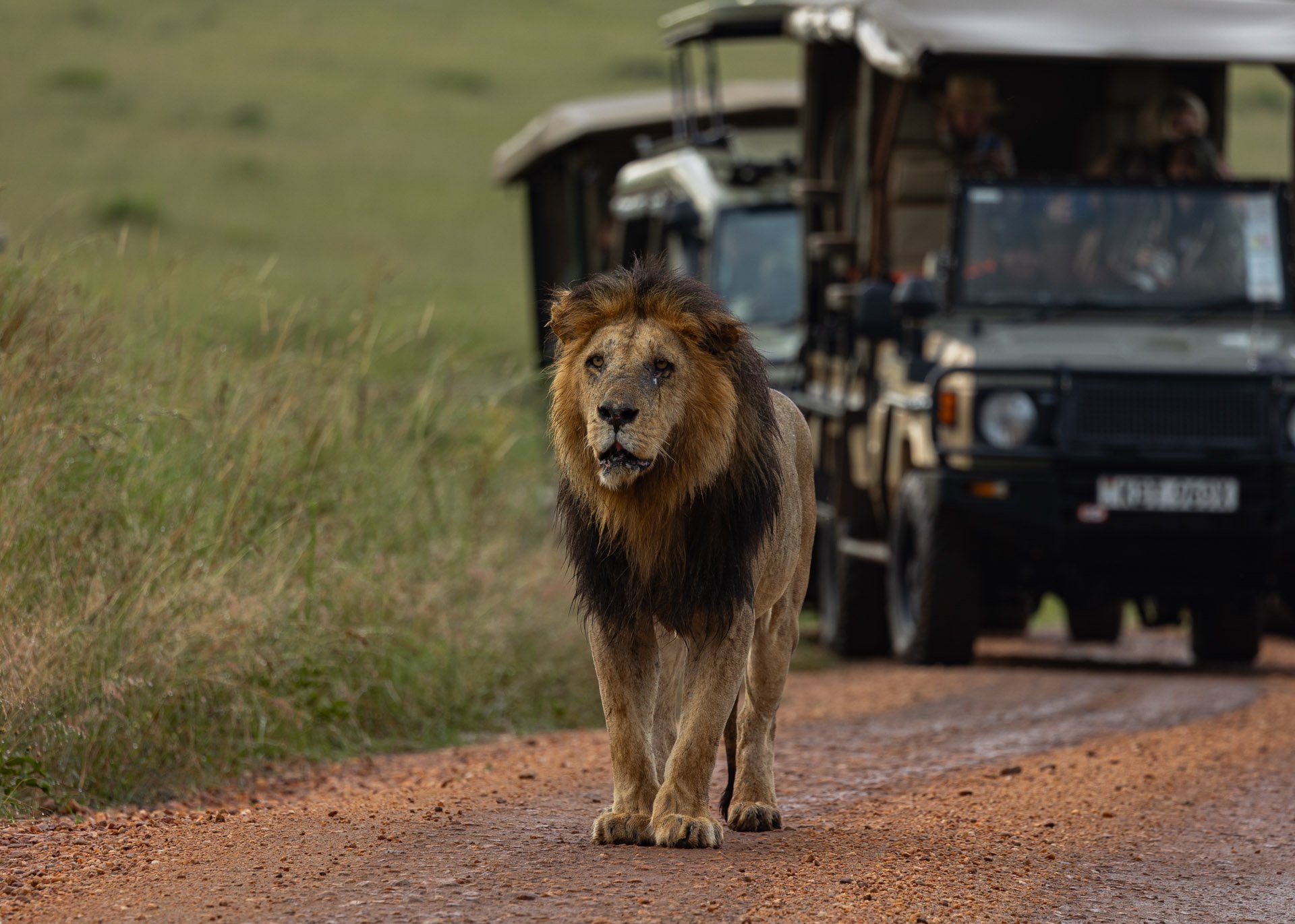 F7.1, 1/100, ISO250 | Arnold Omondi 