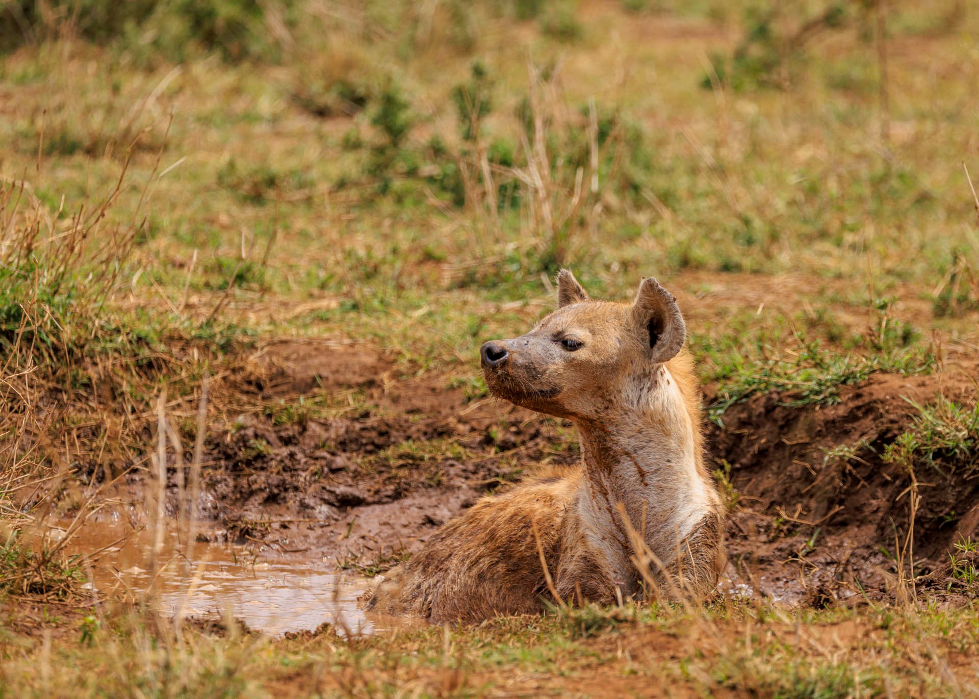 F5.6, 1/1600, ISO200 | Marvin Mwarangu 