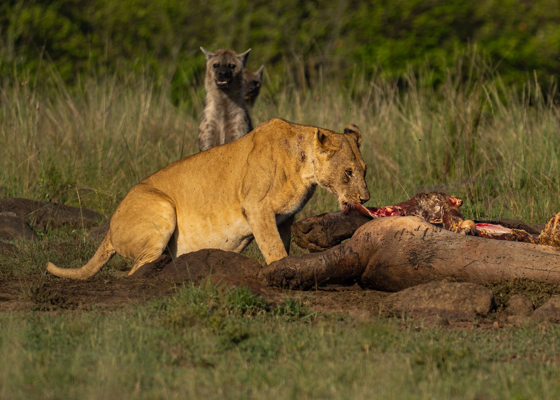F6.3, 1/1250, ISO160 | Arnold Omondi 