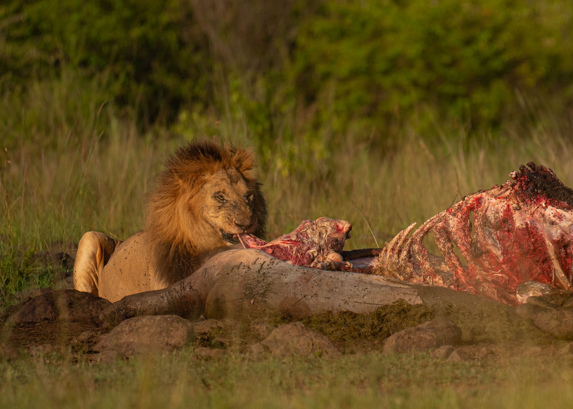 F6.3, 1/1250, ISO250 | Arnold Omondi 