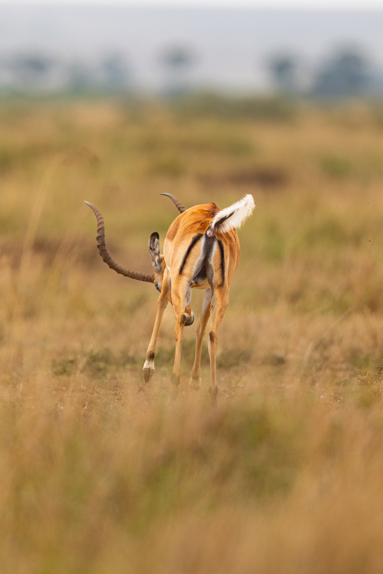 F2.8, 1/1600, ISO 125 | Arnold Omondi
