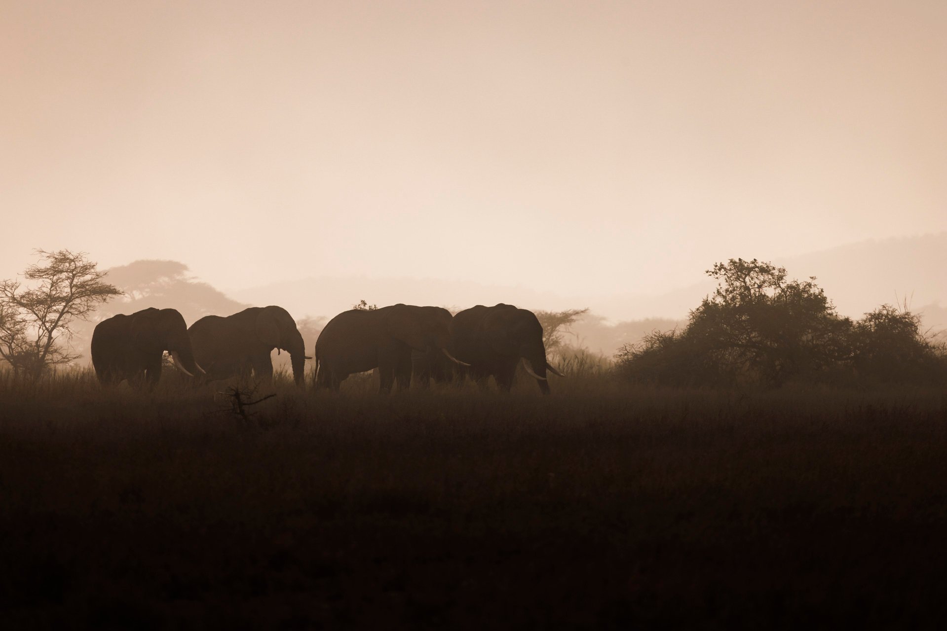 F7.1, 1/800, ISO100 | Jay Supeyo 