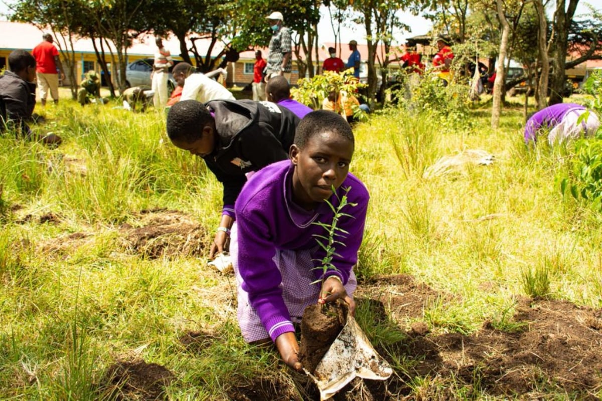 One small act that roots big change.