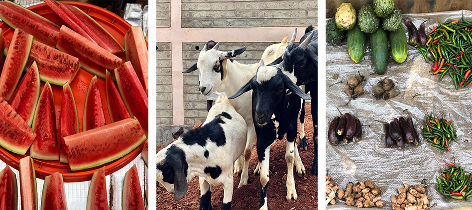Watermelons on wheelbarrows, city goats, spice and everything nice
