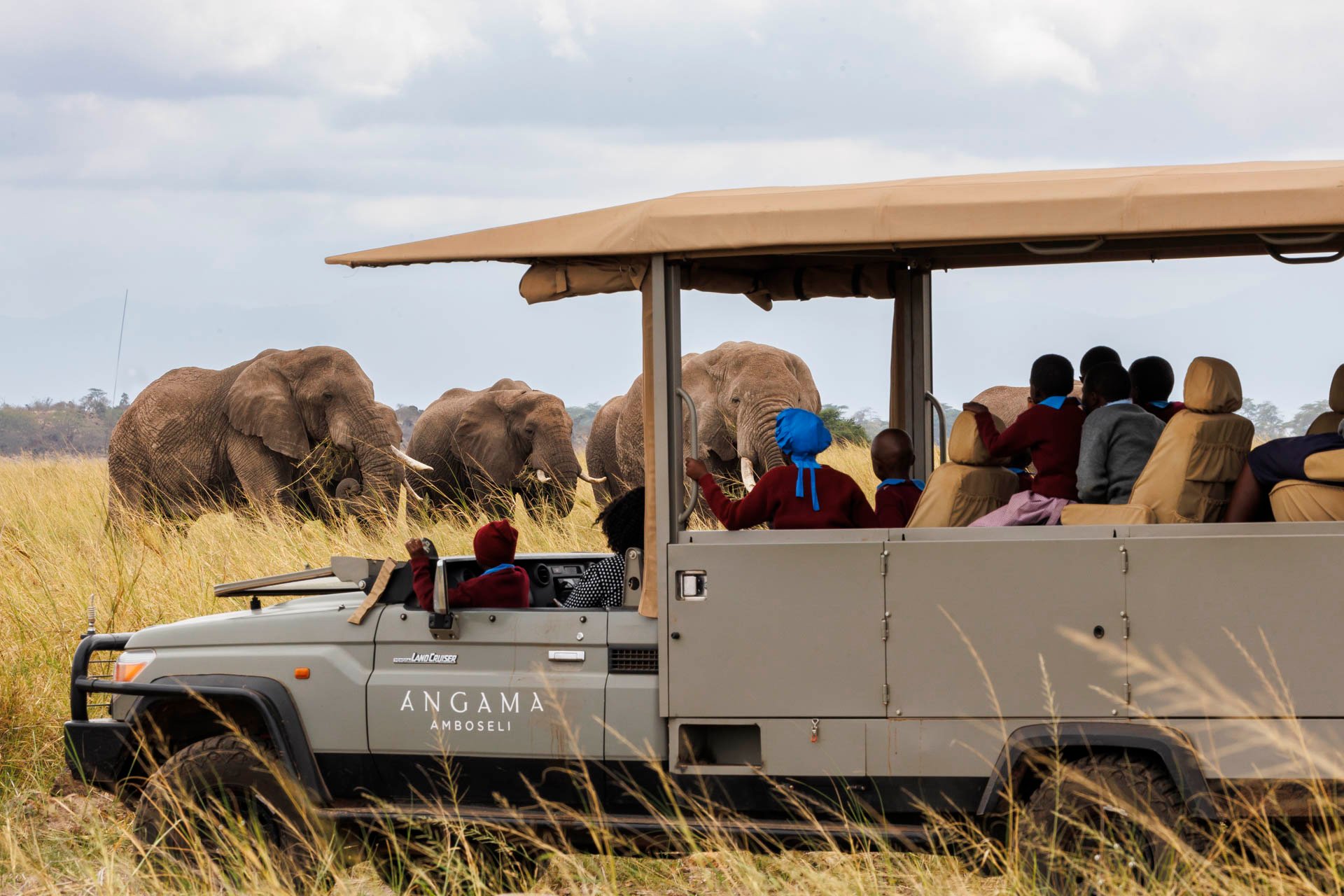 Above: Observing the gentle giants