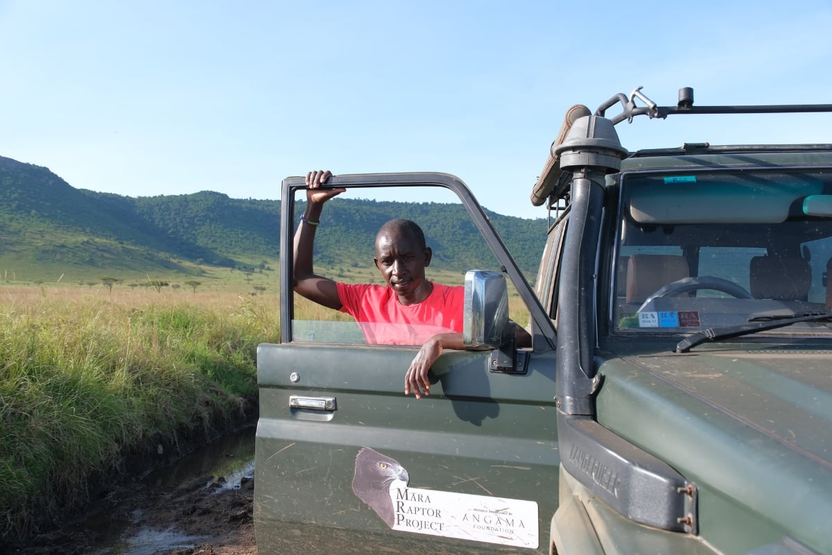 Dennis monitors eight endangered raptor species across the Triangle